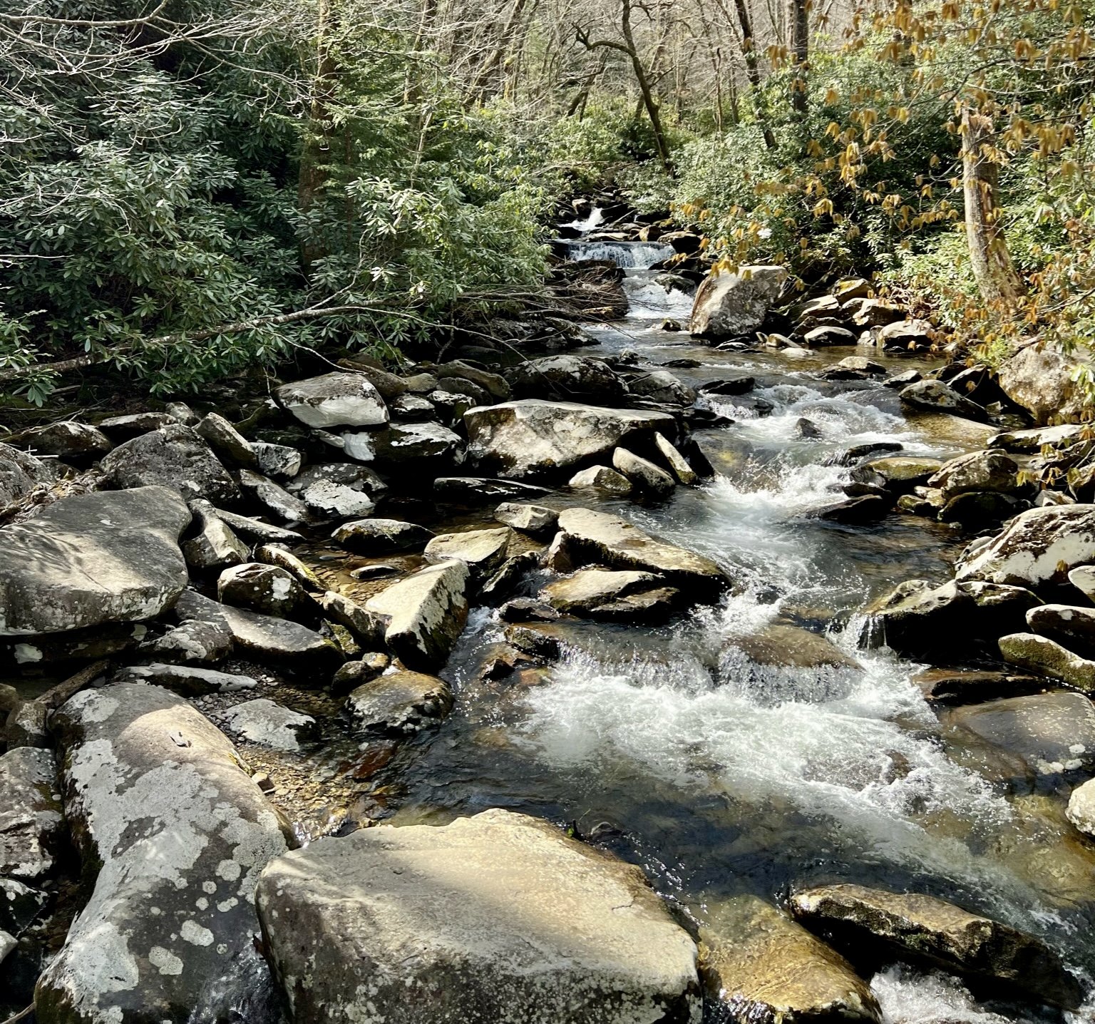 Road Trail via Chimney Tops Trail to Trickling and Talking Waterfalls - The Great Smoky Mountains National Park — hike more worry less