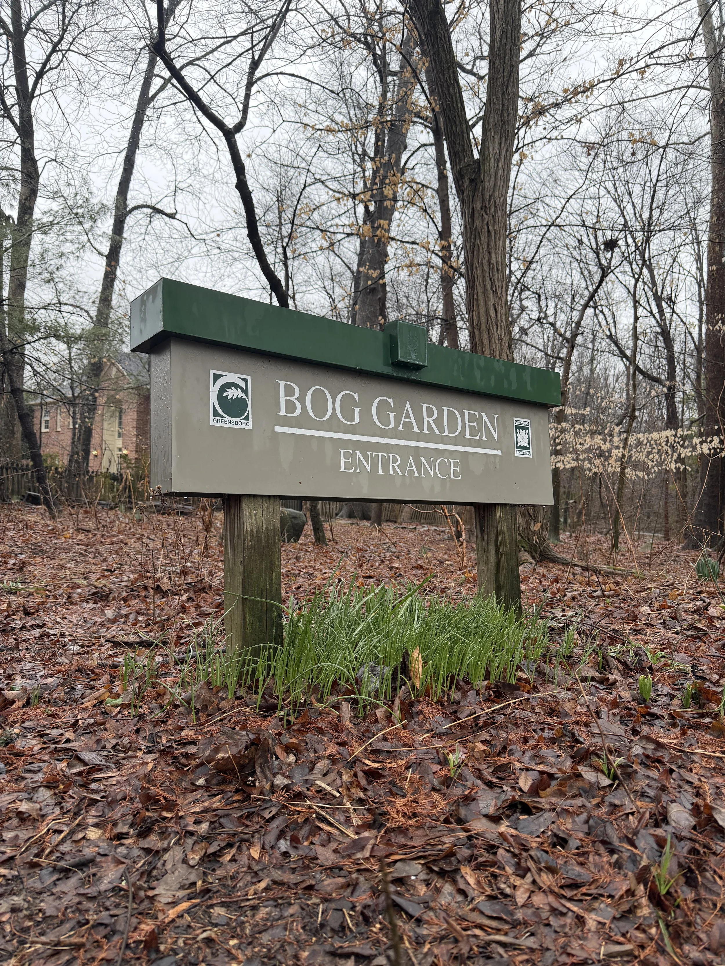 The Bog Garden at Benjamin Park - Greensboro, NC
