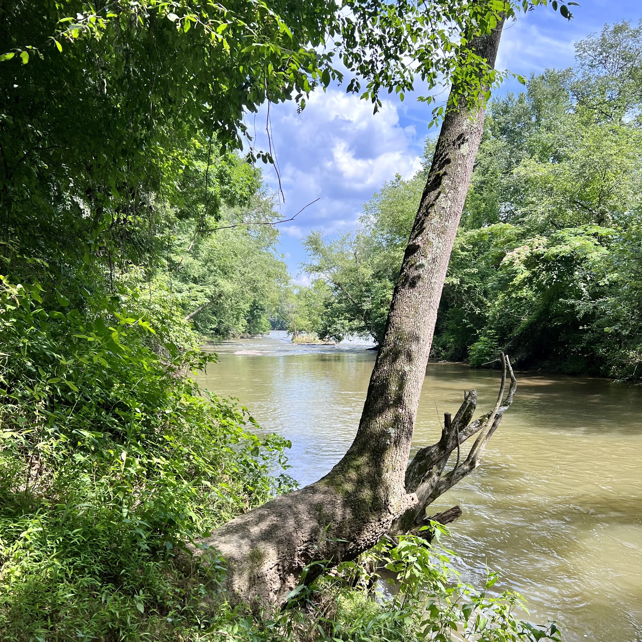 Bean Shoals Canal Trail - Pinnacle, NC 