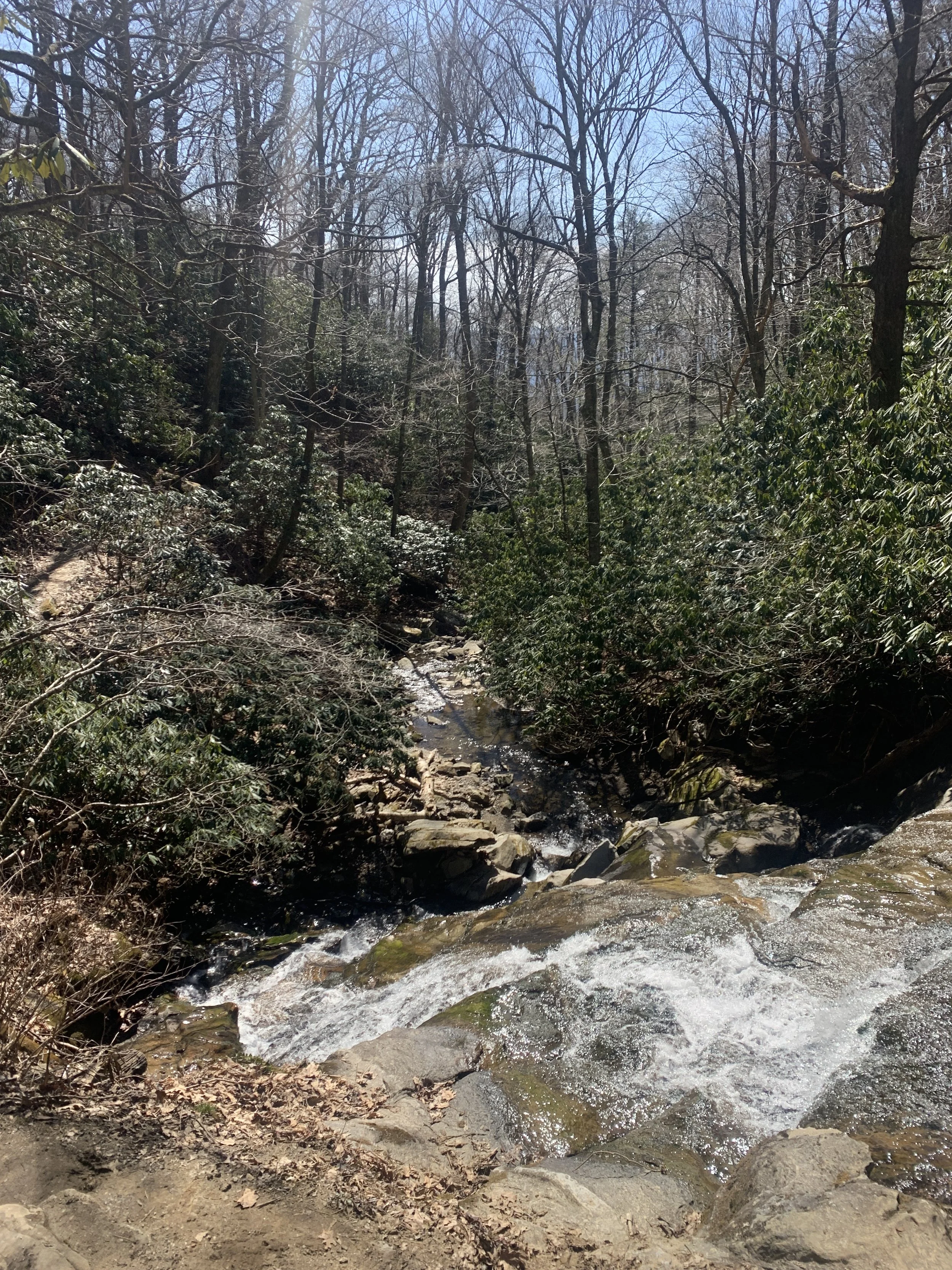 IMG_8699.JPG