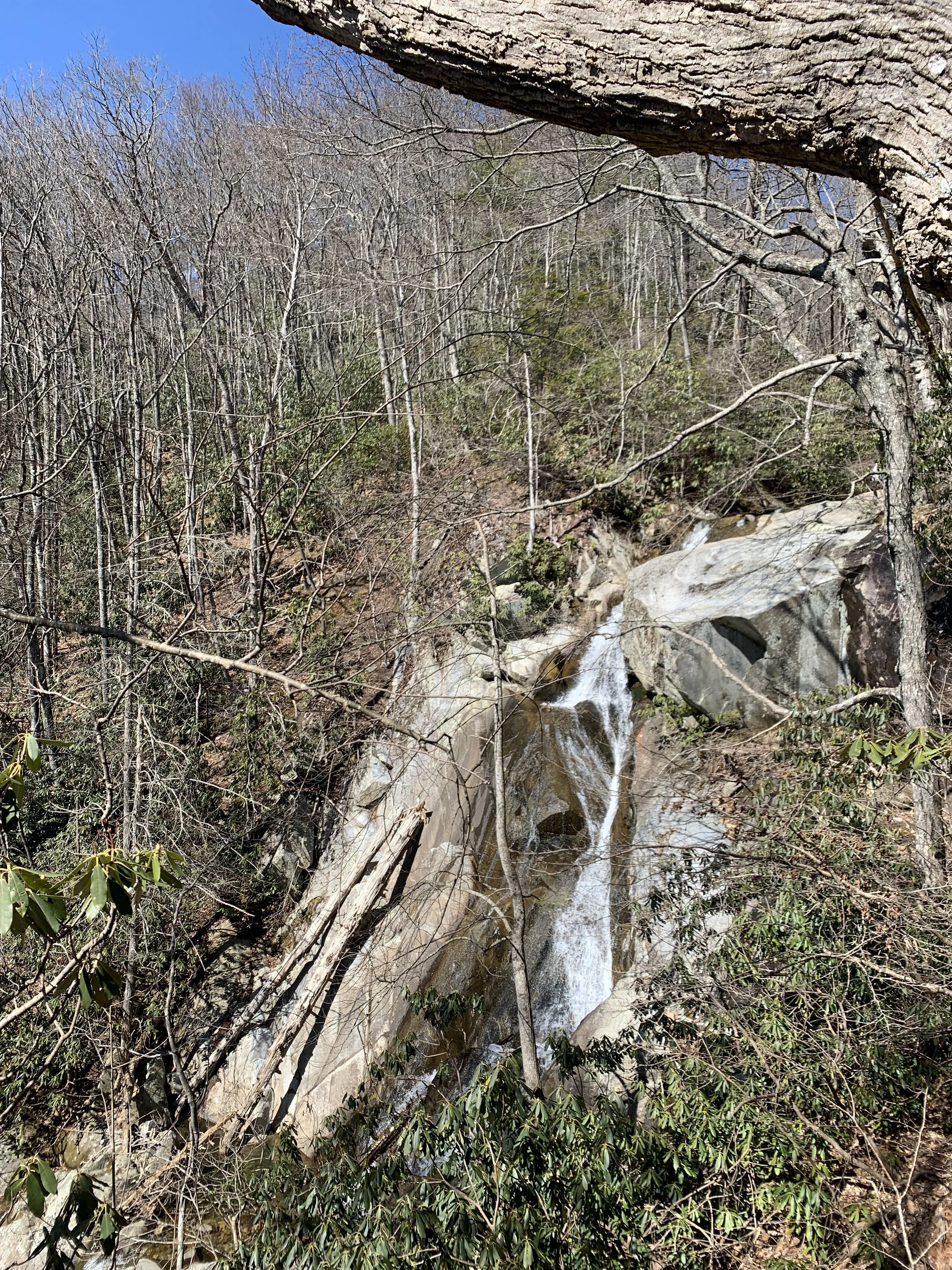 IMG_8704.JPG