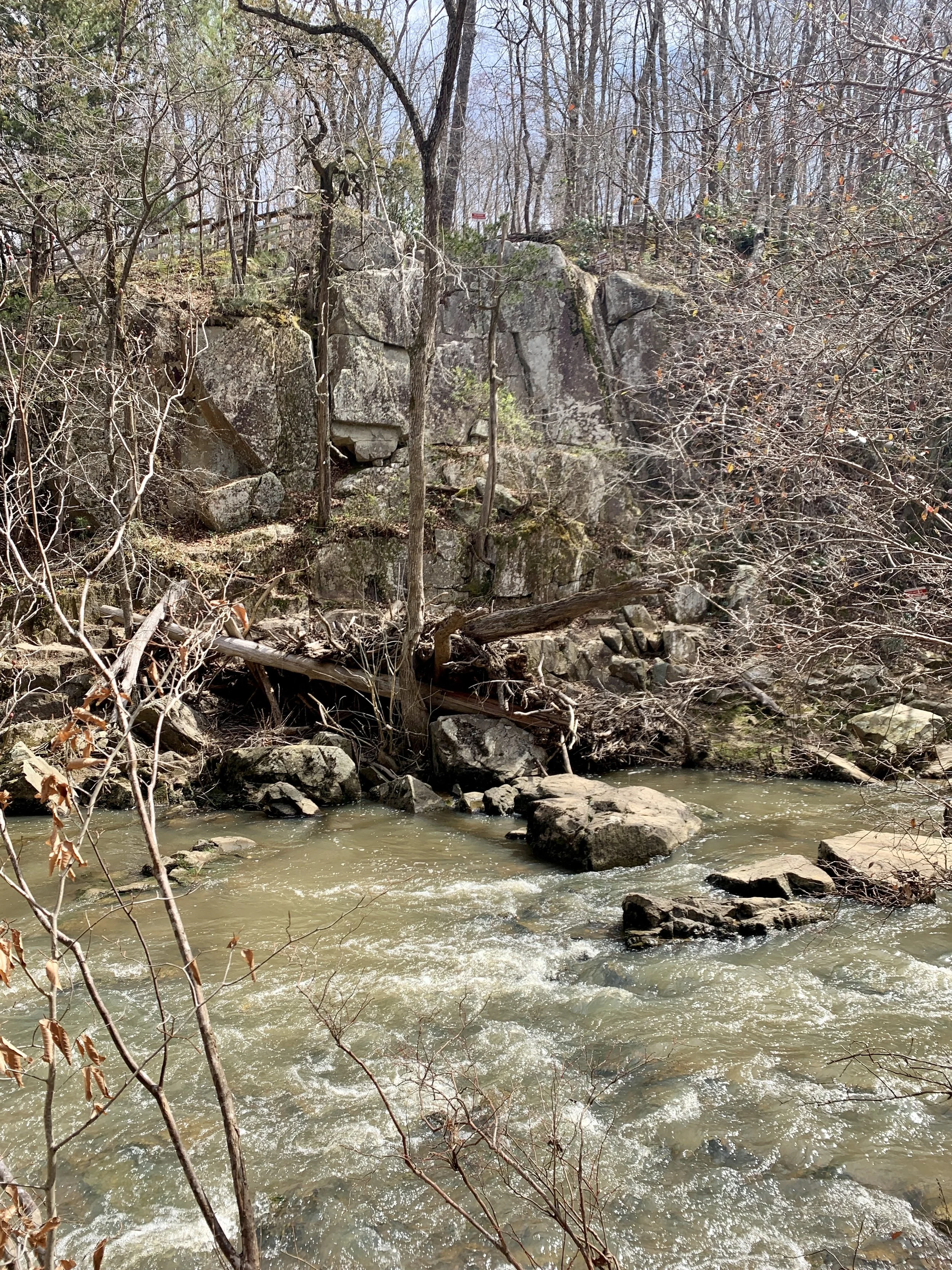 IMG_8808.jpg