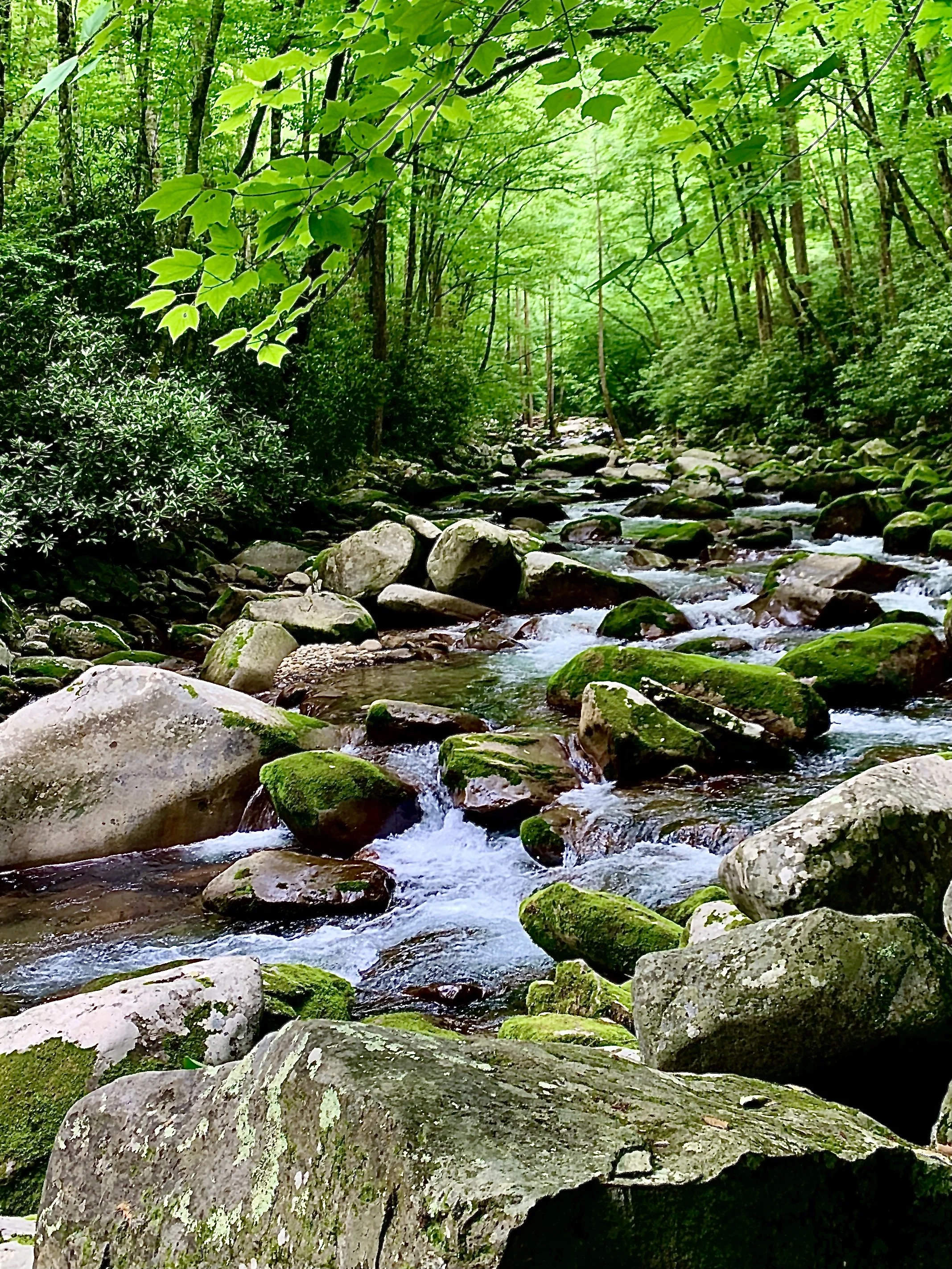 Big Creek Falls Trail, Midnight Hole, &amp; Mouse Creek Falls - Burnsville, NC