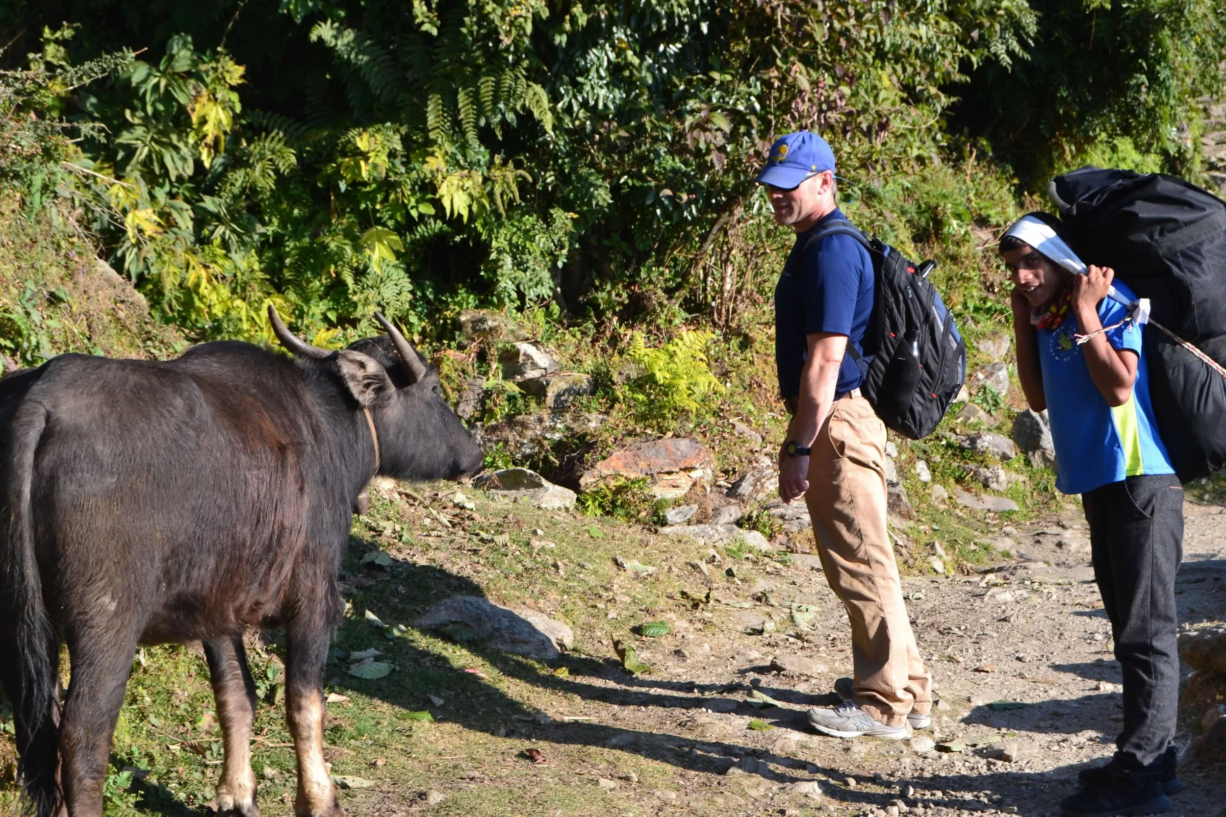 nepal - chris and cow.JPG