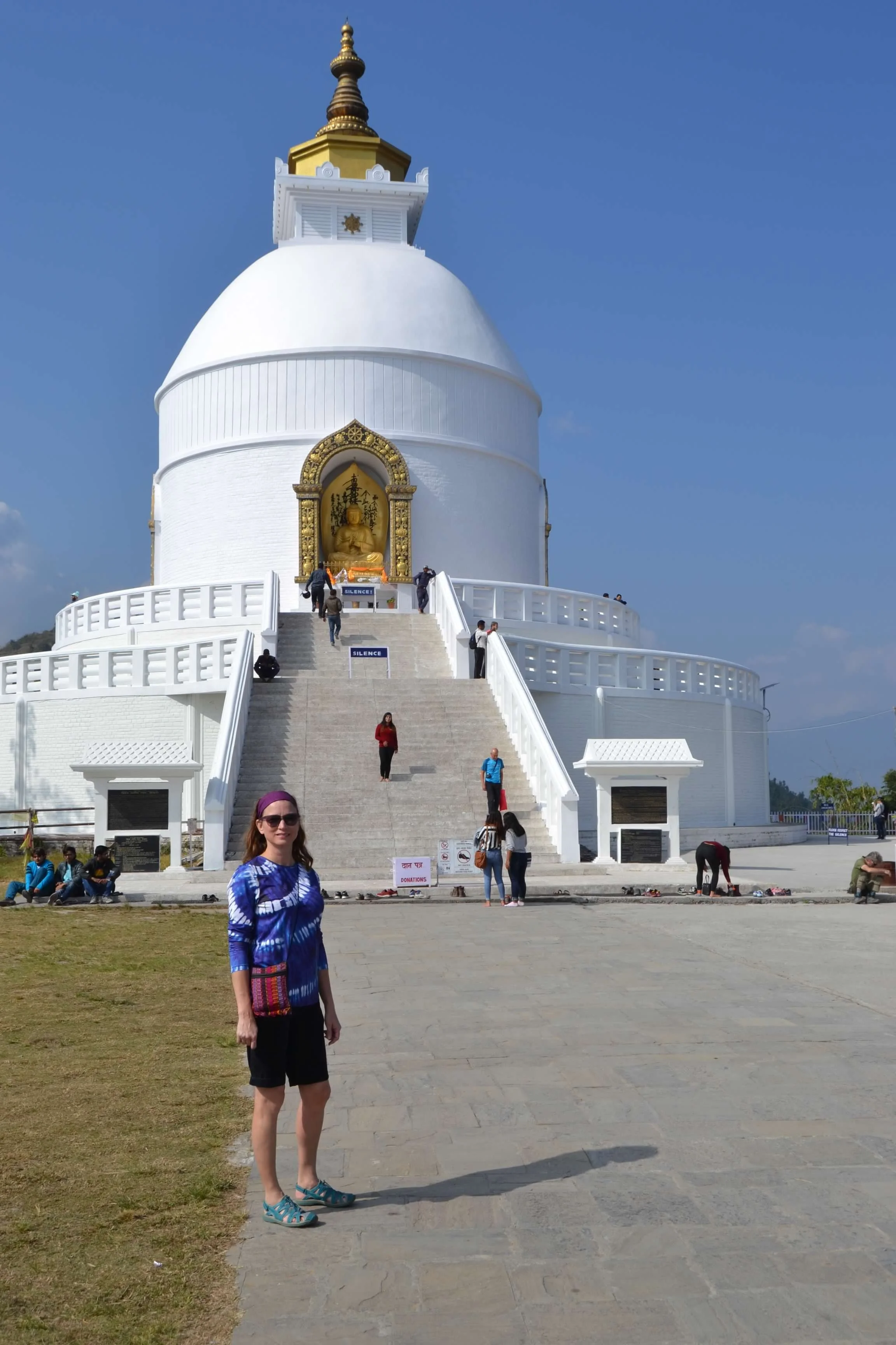 nepal - peace pagoda ginger.JPG