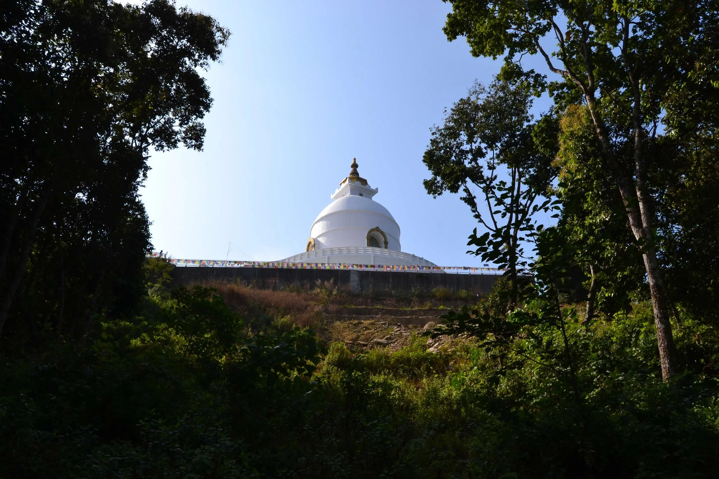 nepal - peace pagoda.JPG