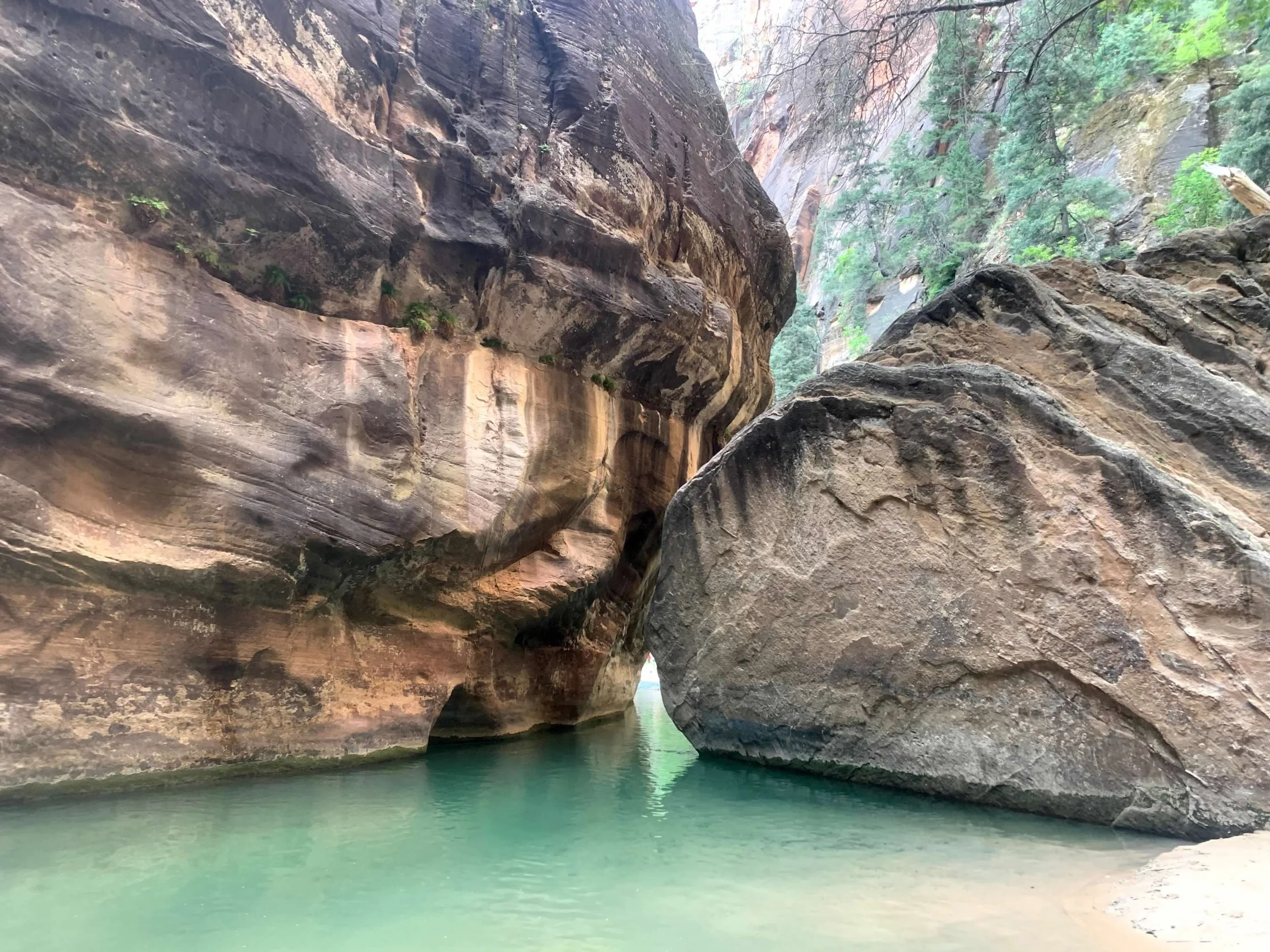 narrows - clear water.jpg
