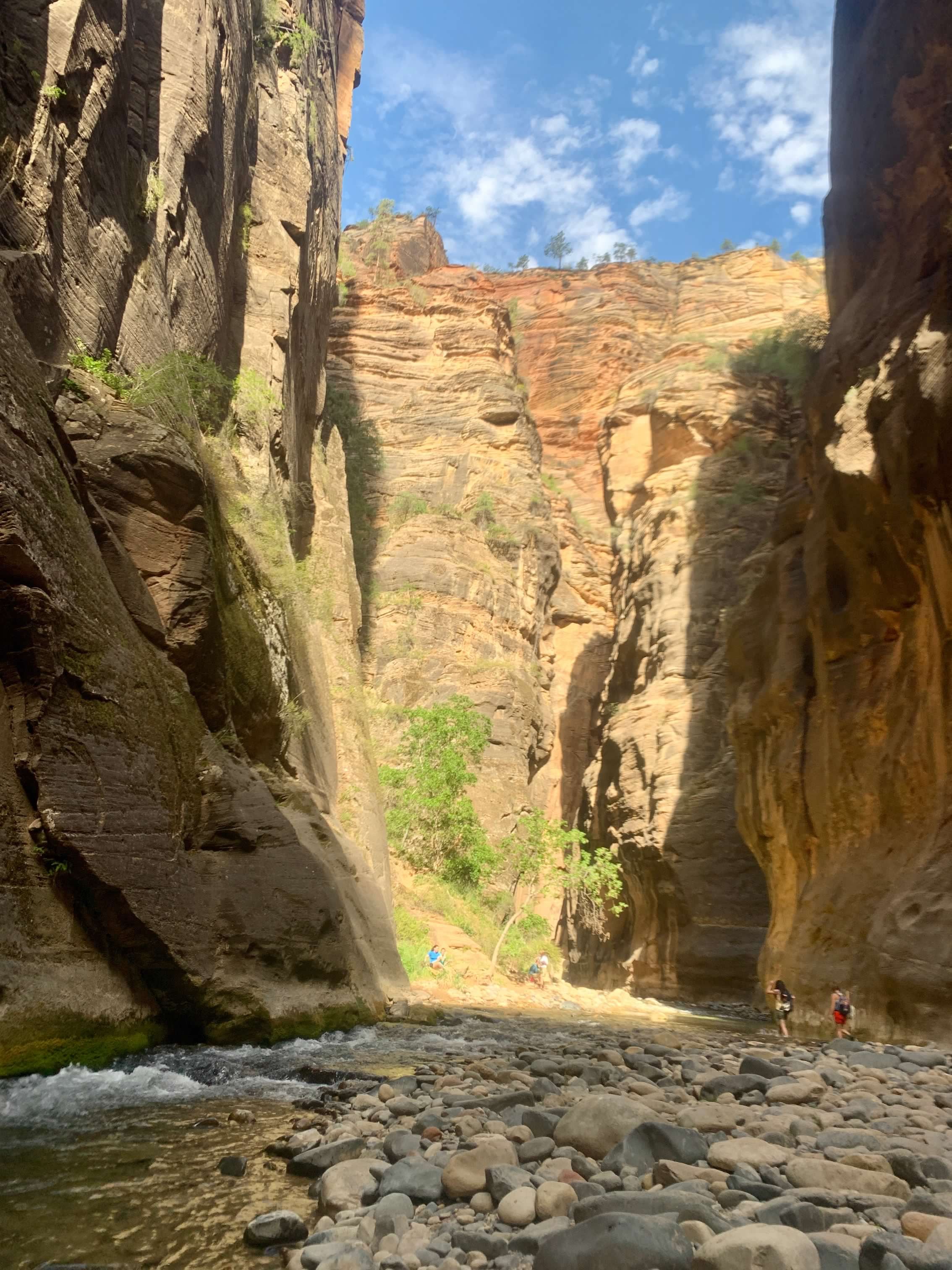 narrows - narrow 2.jpg