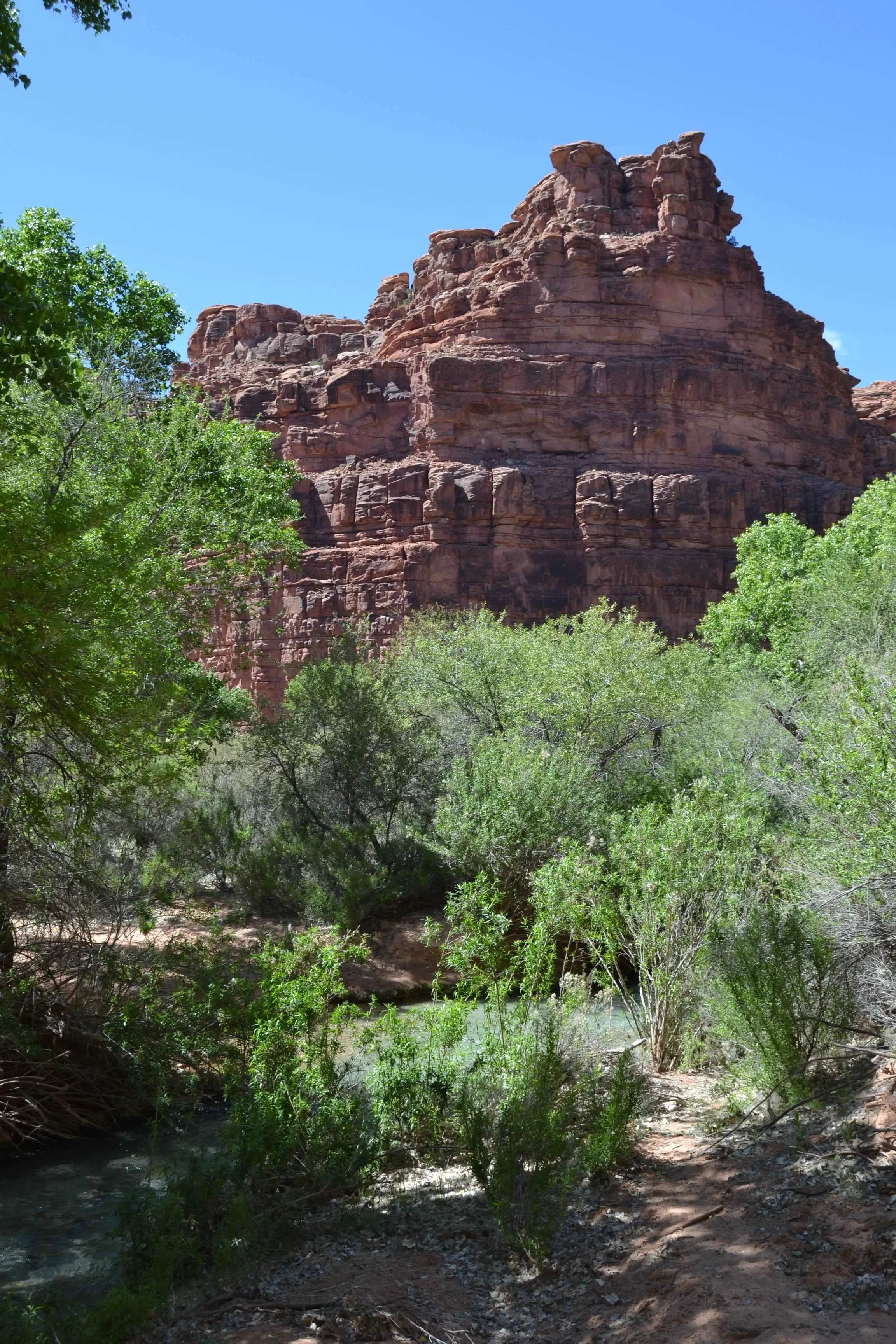 DSC_0312.jpg