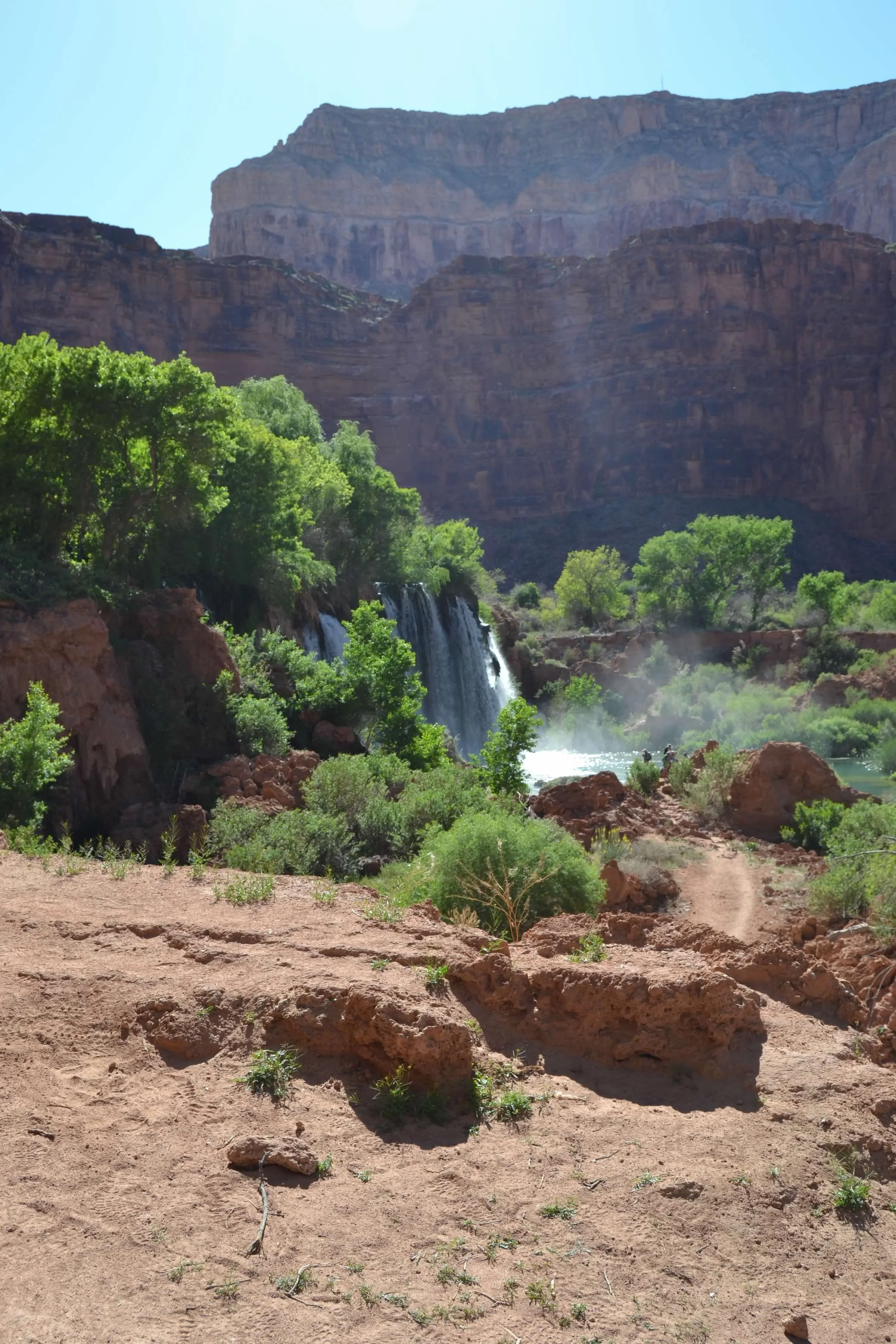 DSC_0336.jpg
