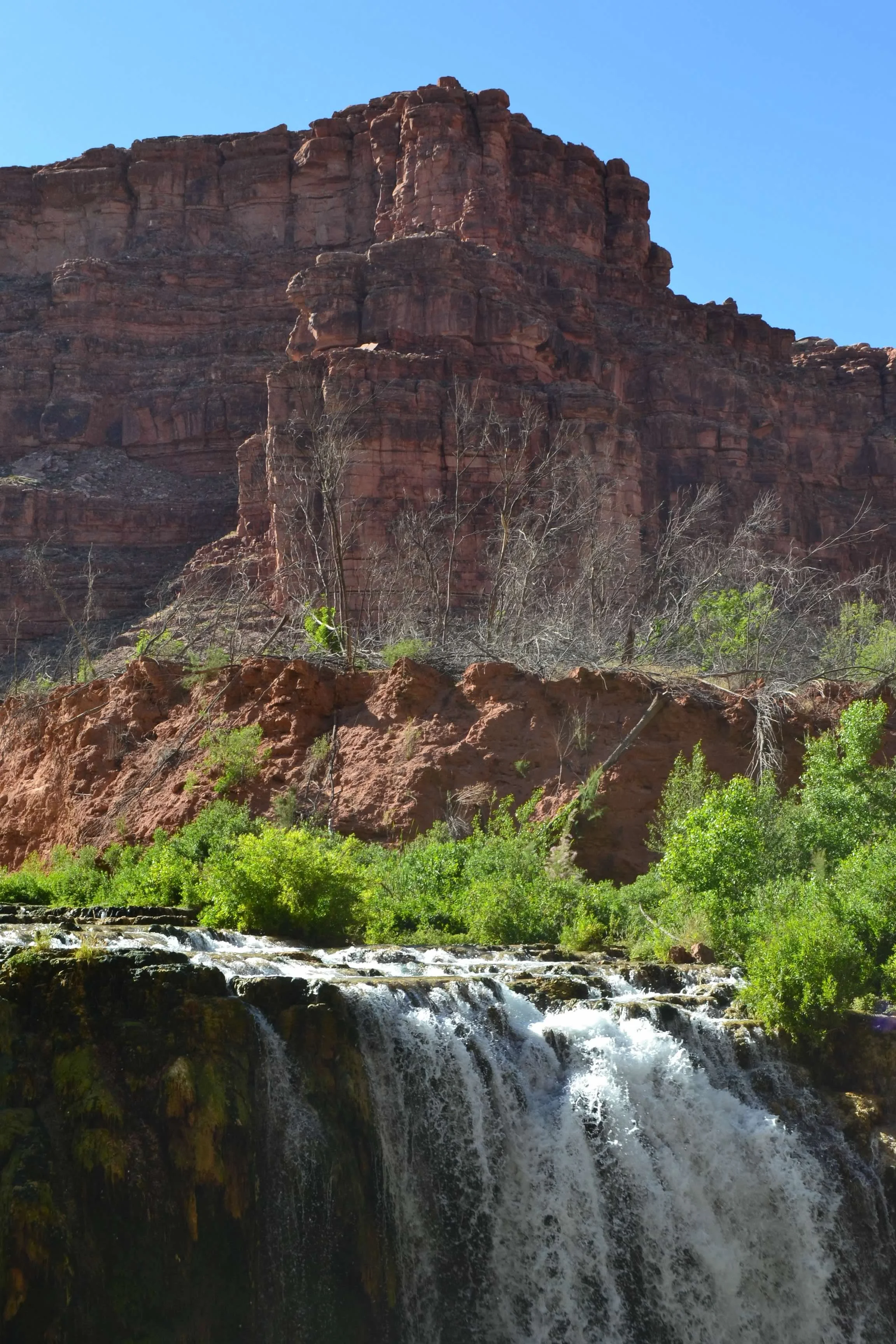 DSC_0352.jpg