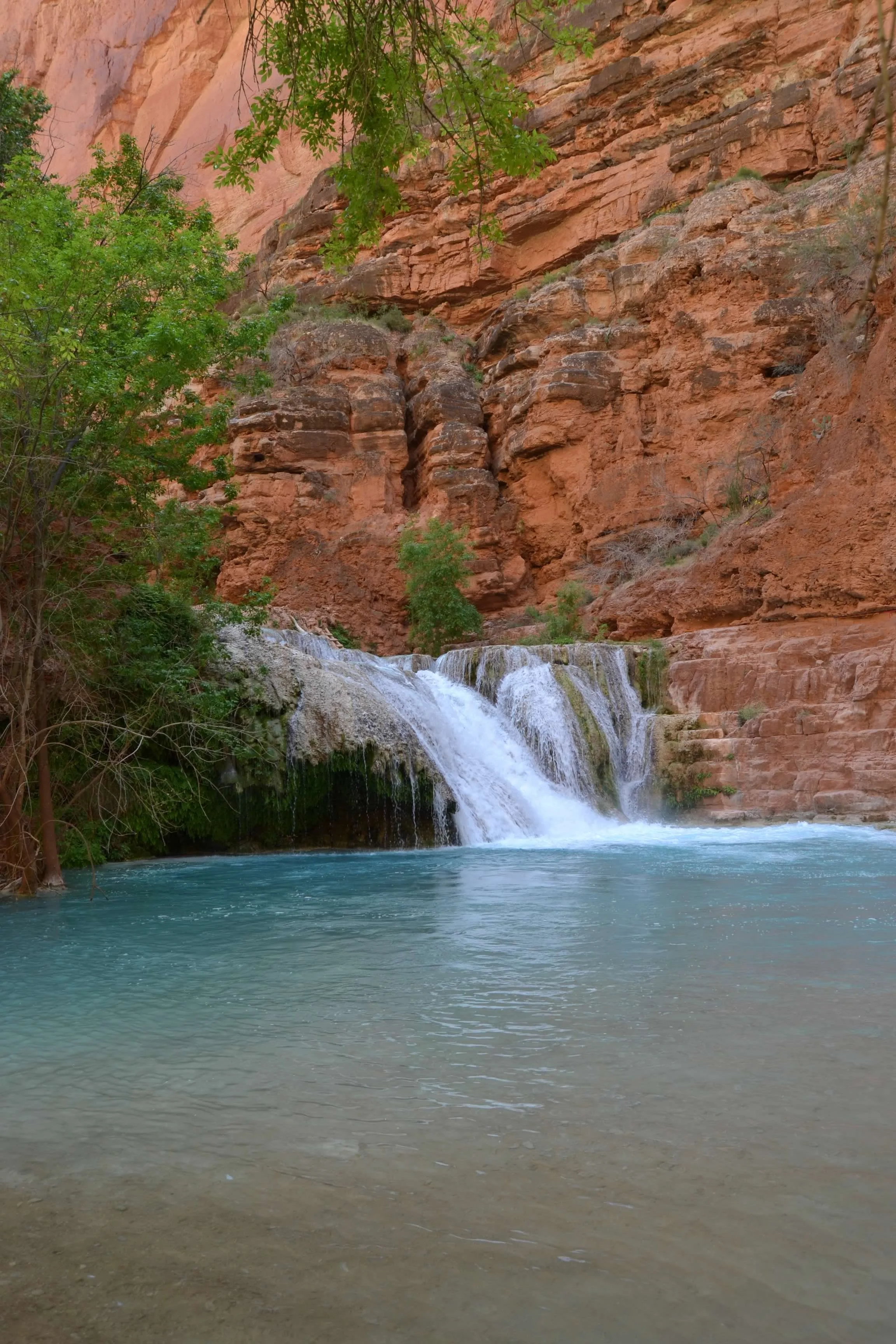 DSC_0490.jpg