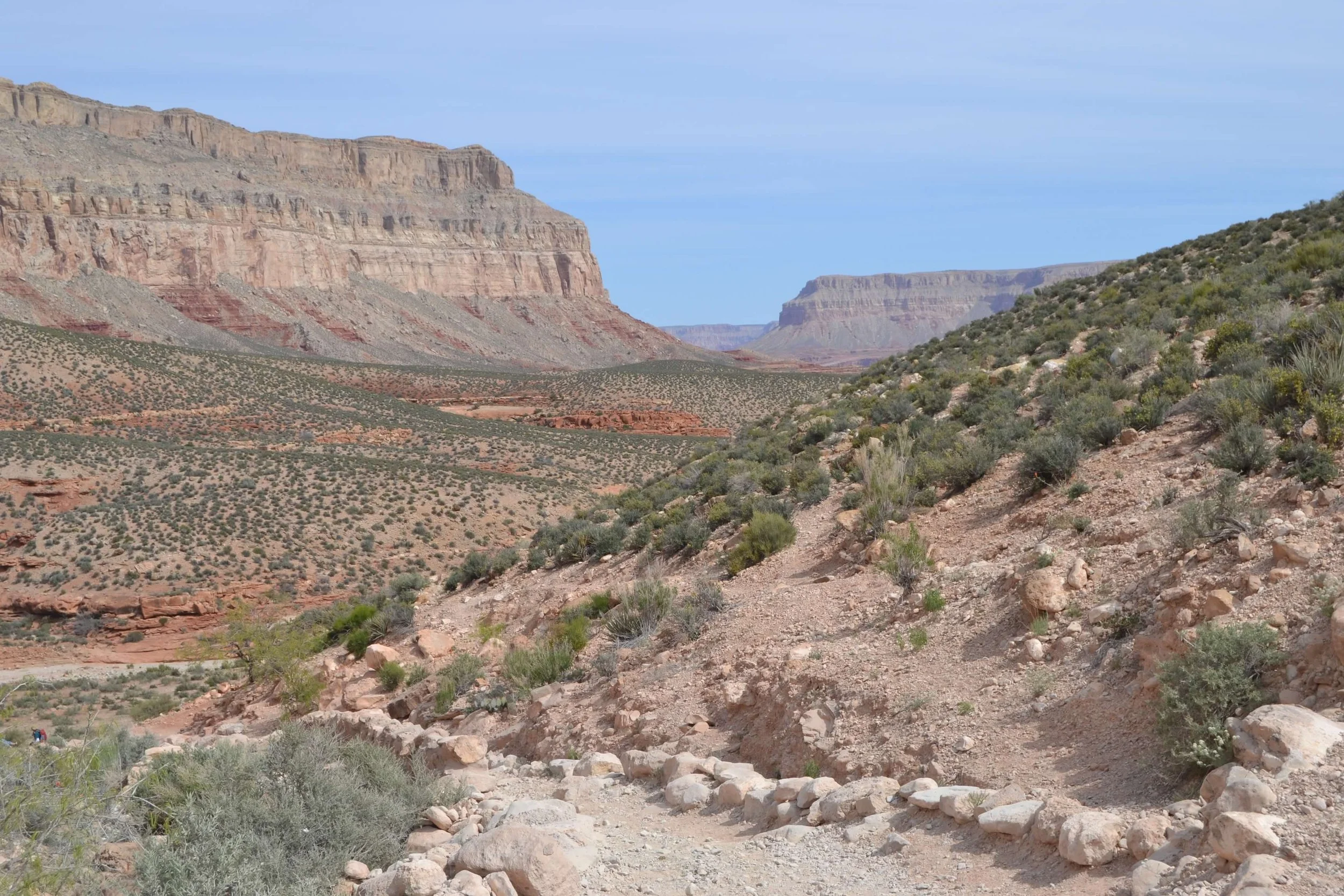 DSC_0575.jpg