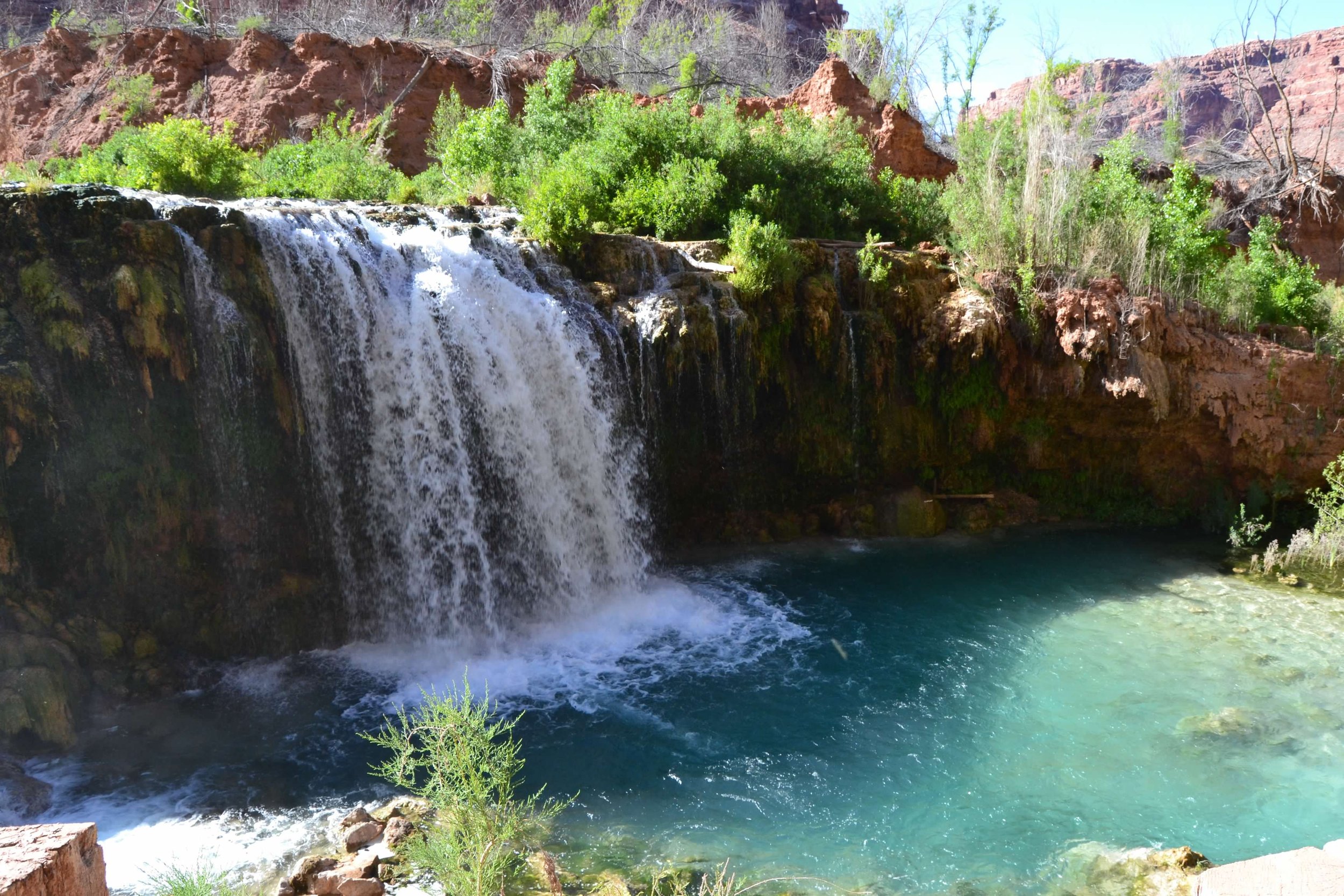 DSC_0354.jpg