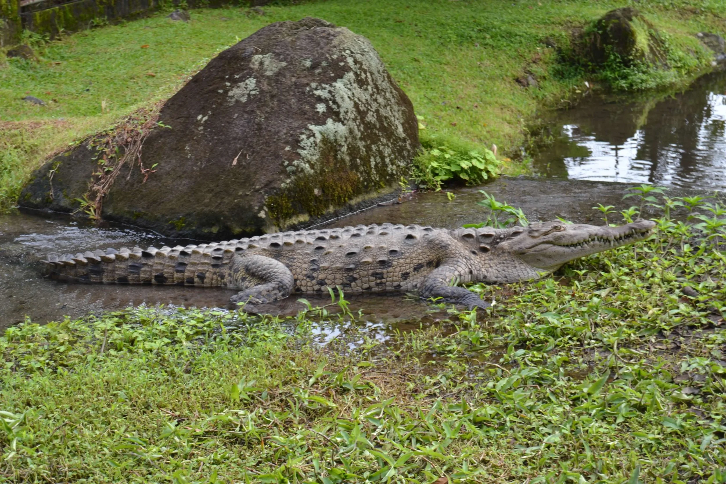 DSC_0016.jpg