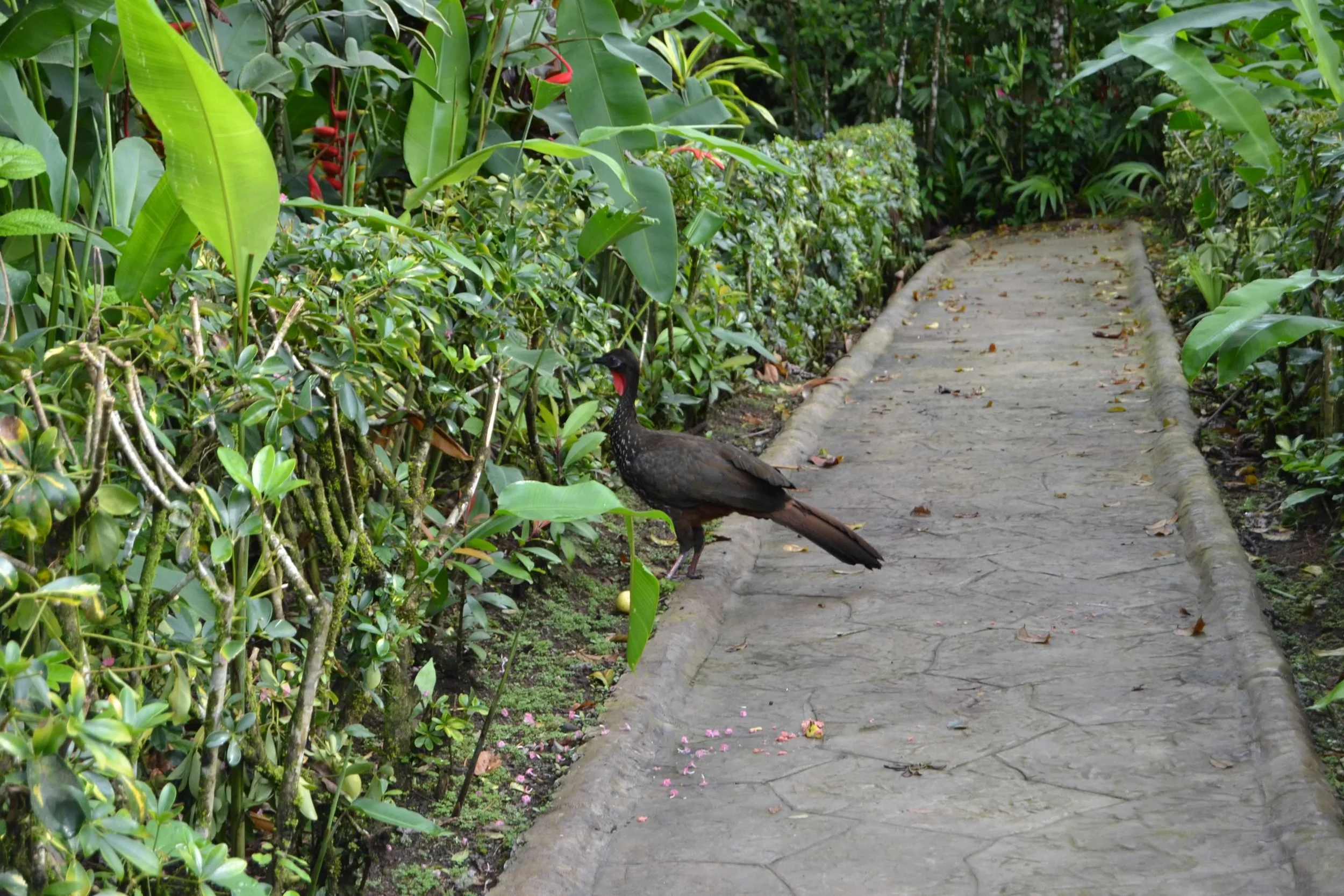 DSC_0025.jpg