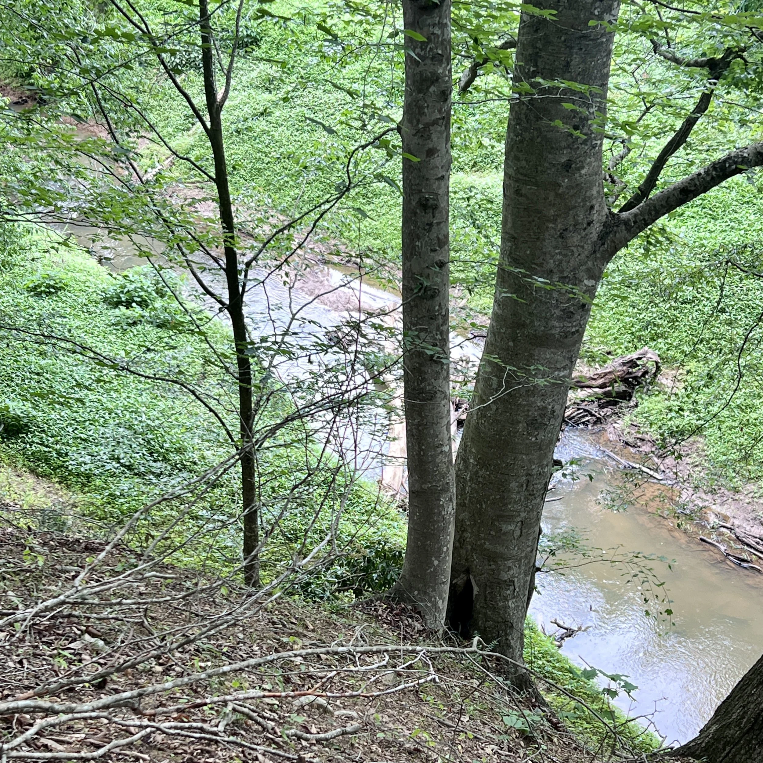 IMG_0312.JPG