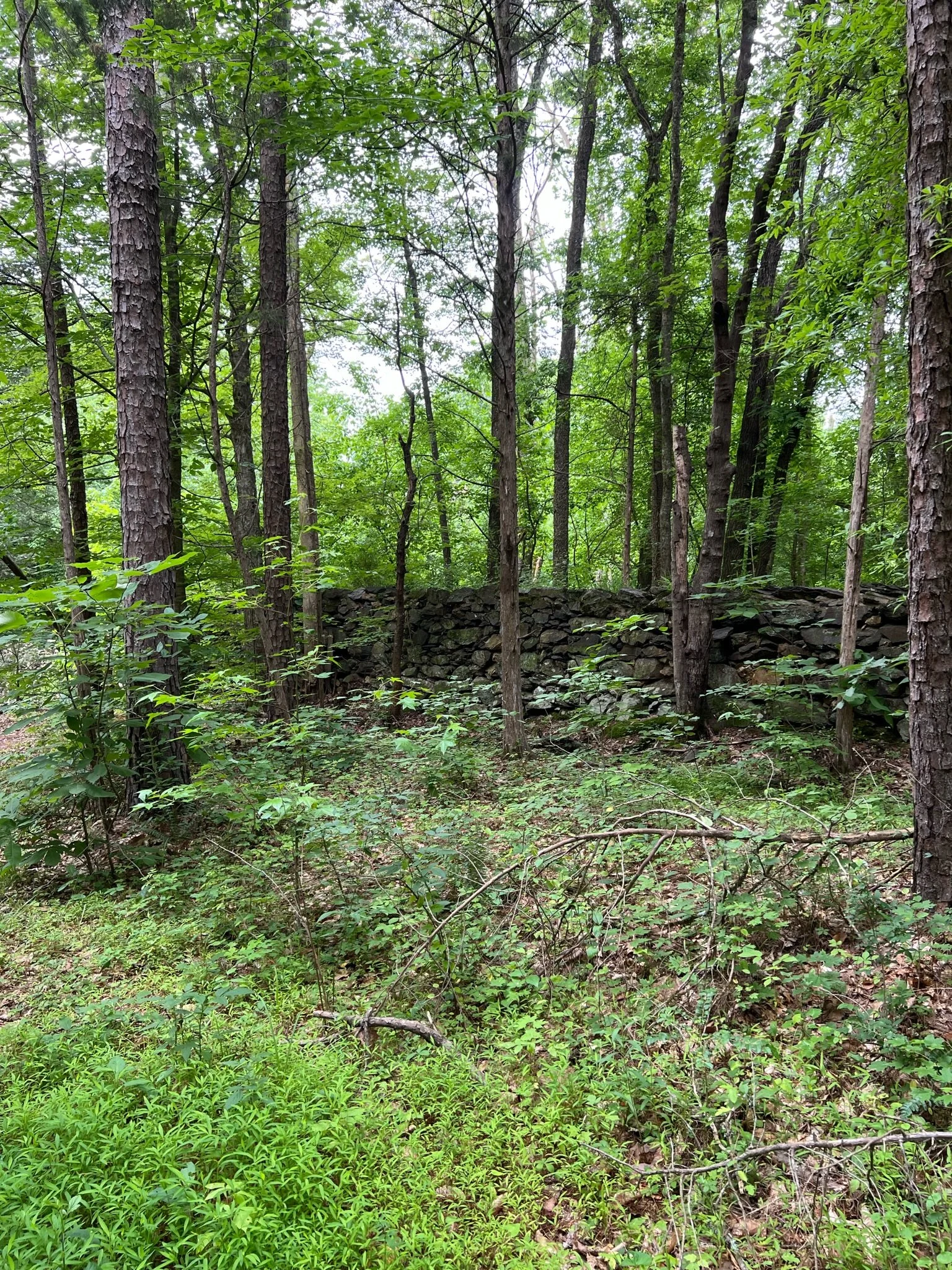 IMG_0036.JPG