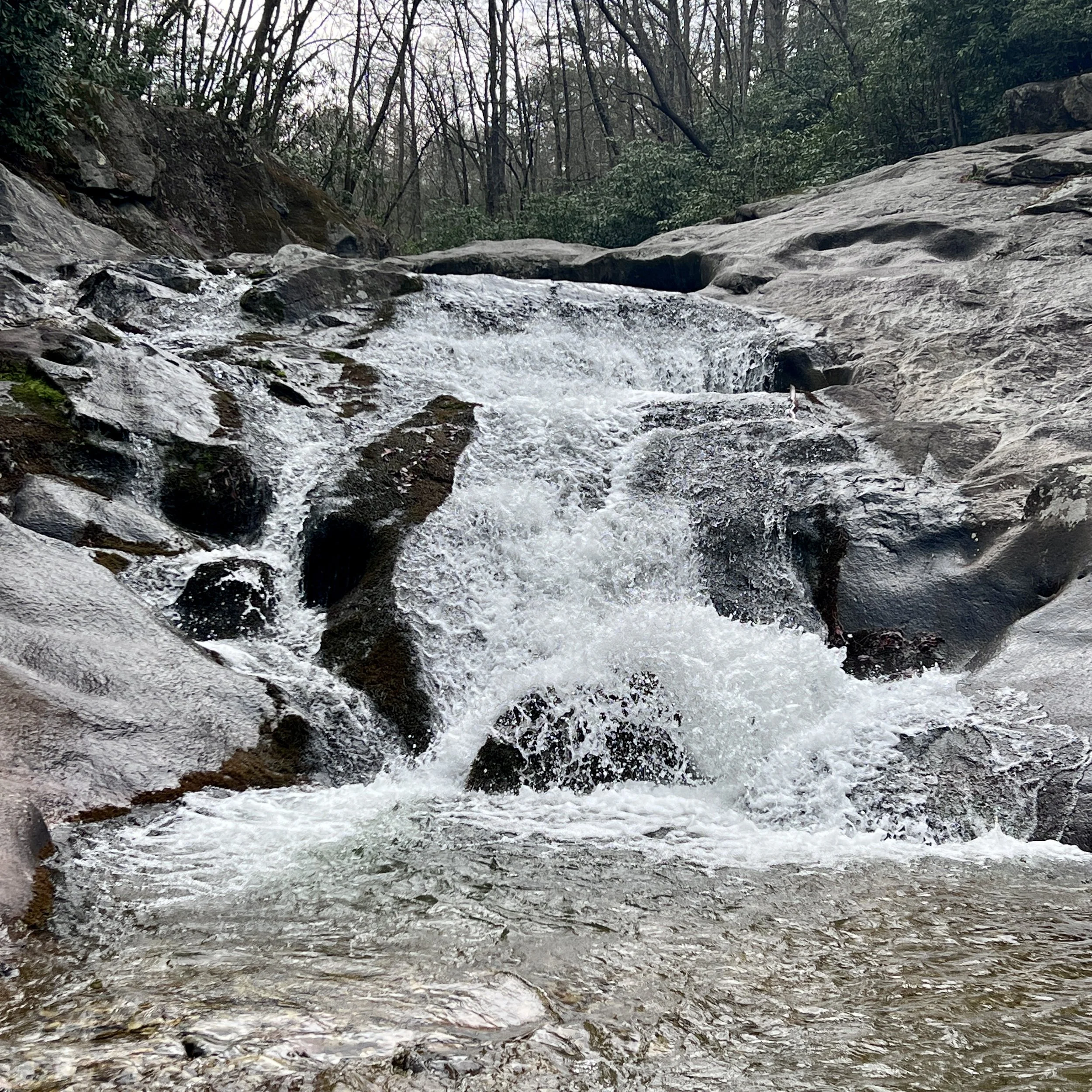 The Lost Cove Loop Trail - Collettesville, NC