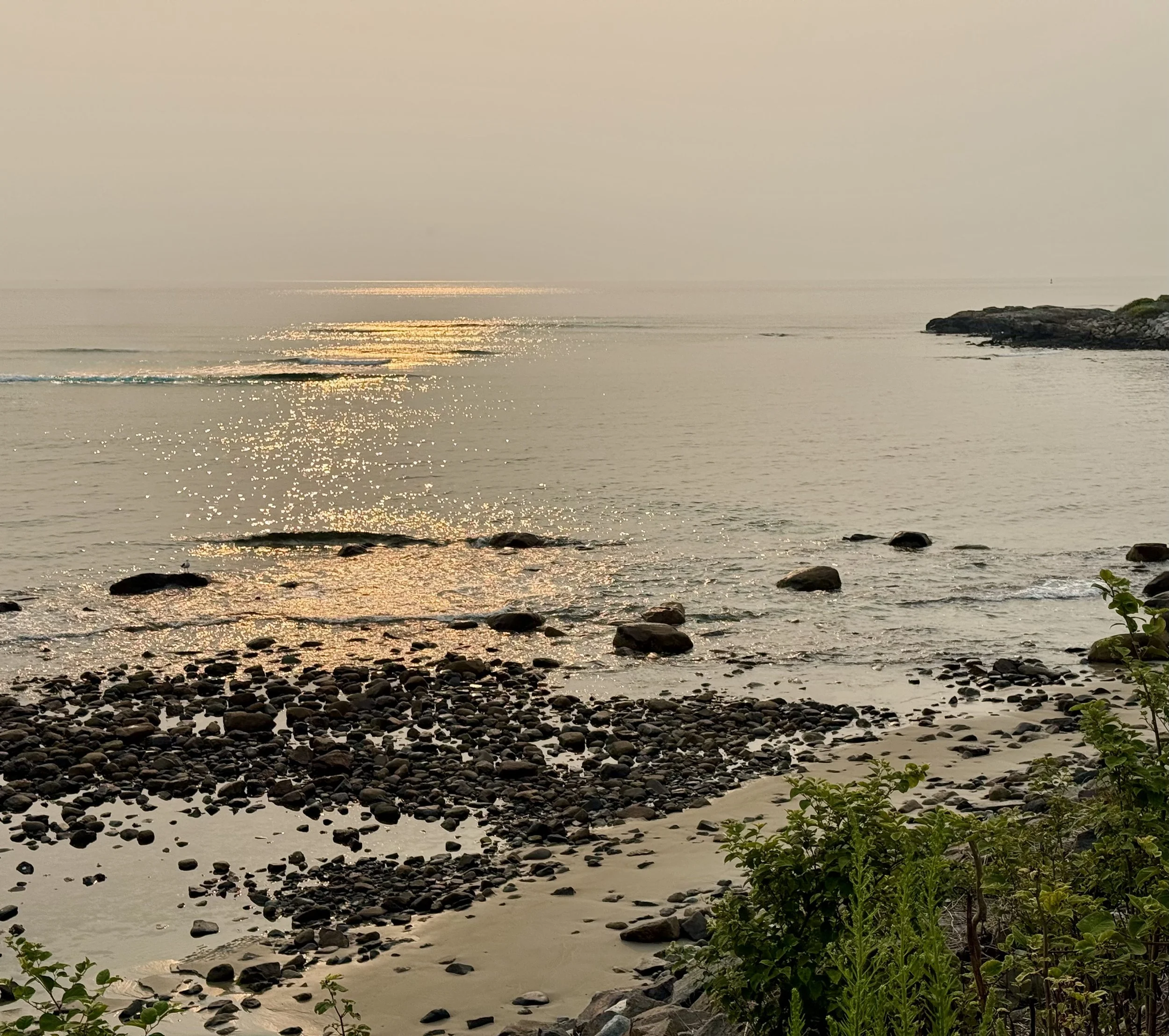 IMG_1920.jpeg