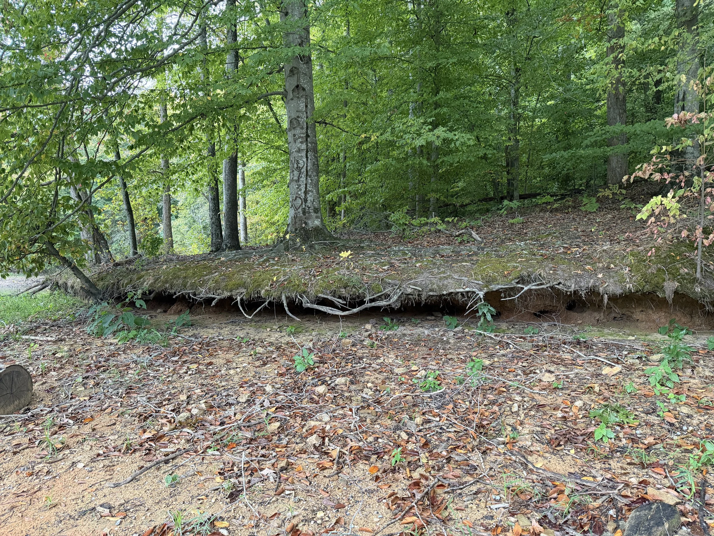 IMG_6039.JPG