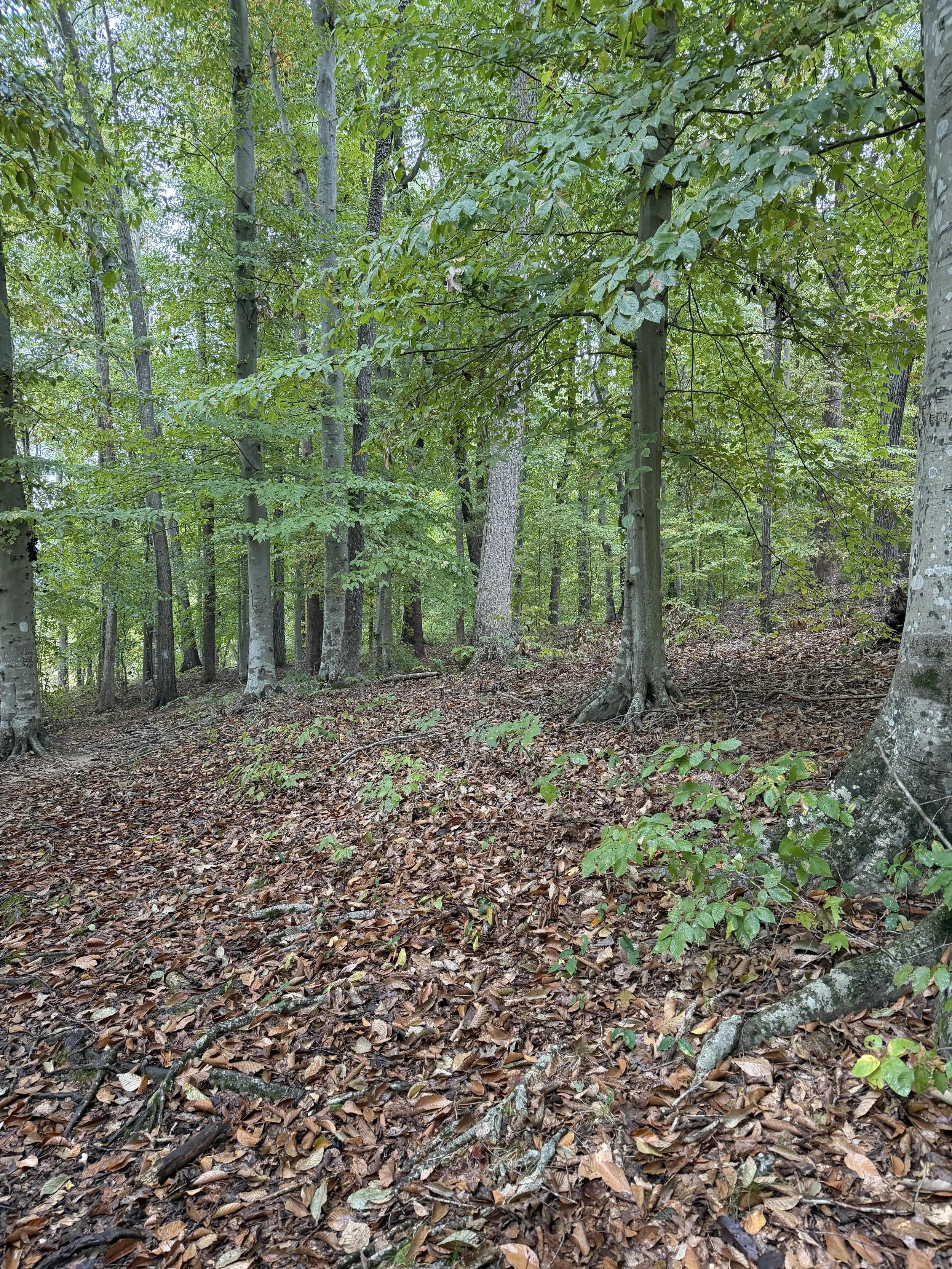 IMG_6088.JPG