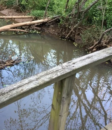osprey bridge over creek.jpg
