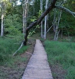 osprey footbridge.jpg