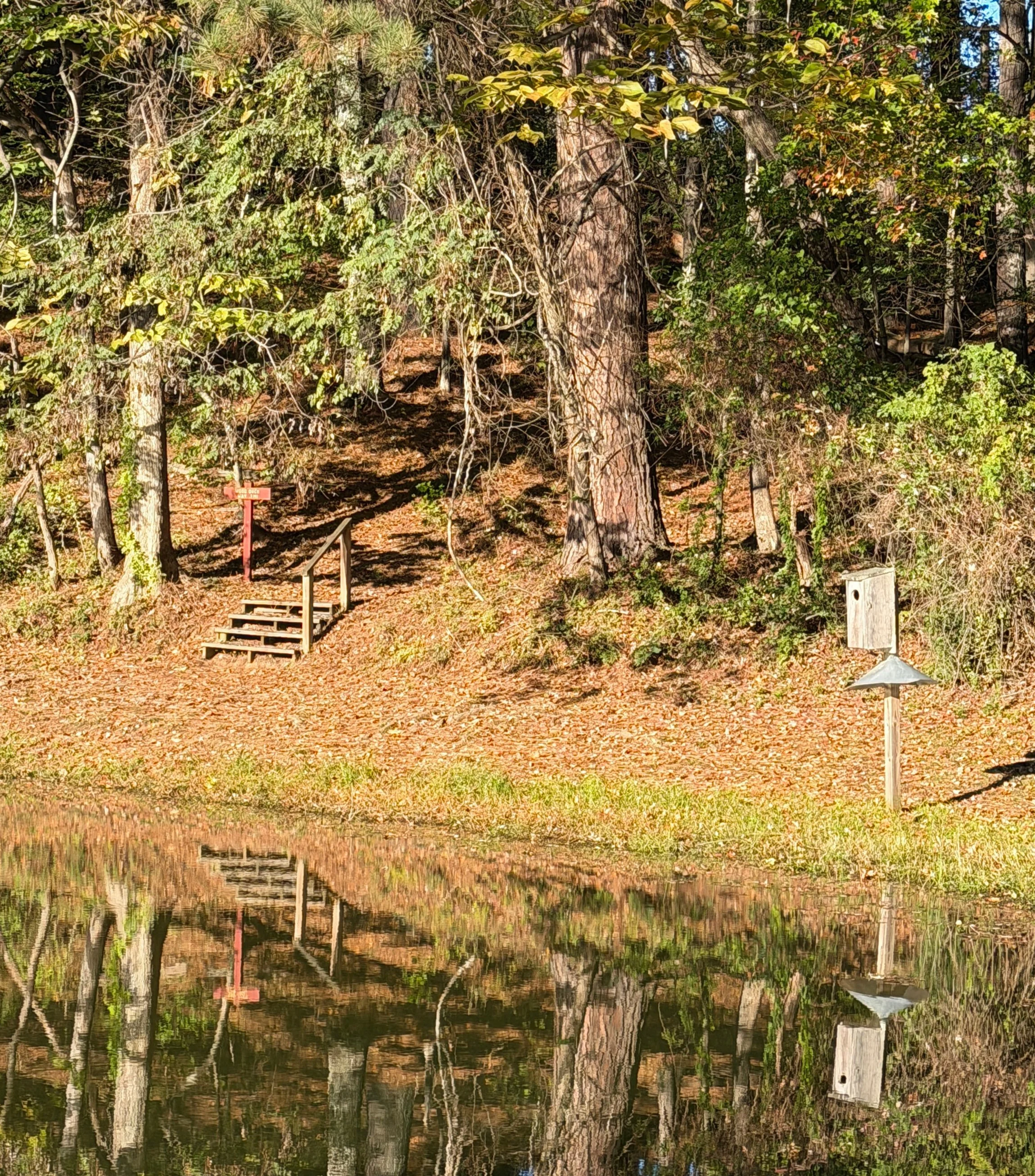 Wood Duck Way - Greensboro, NC
