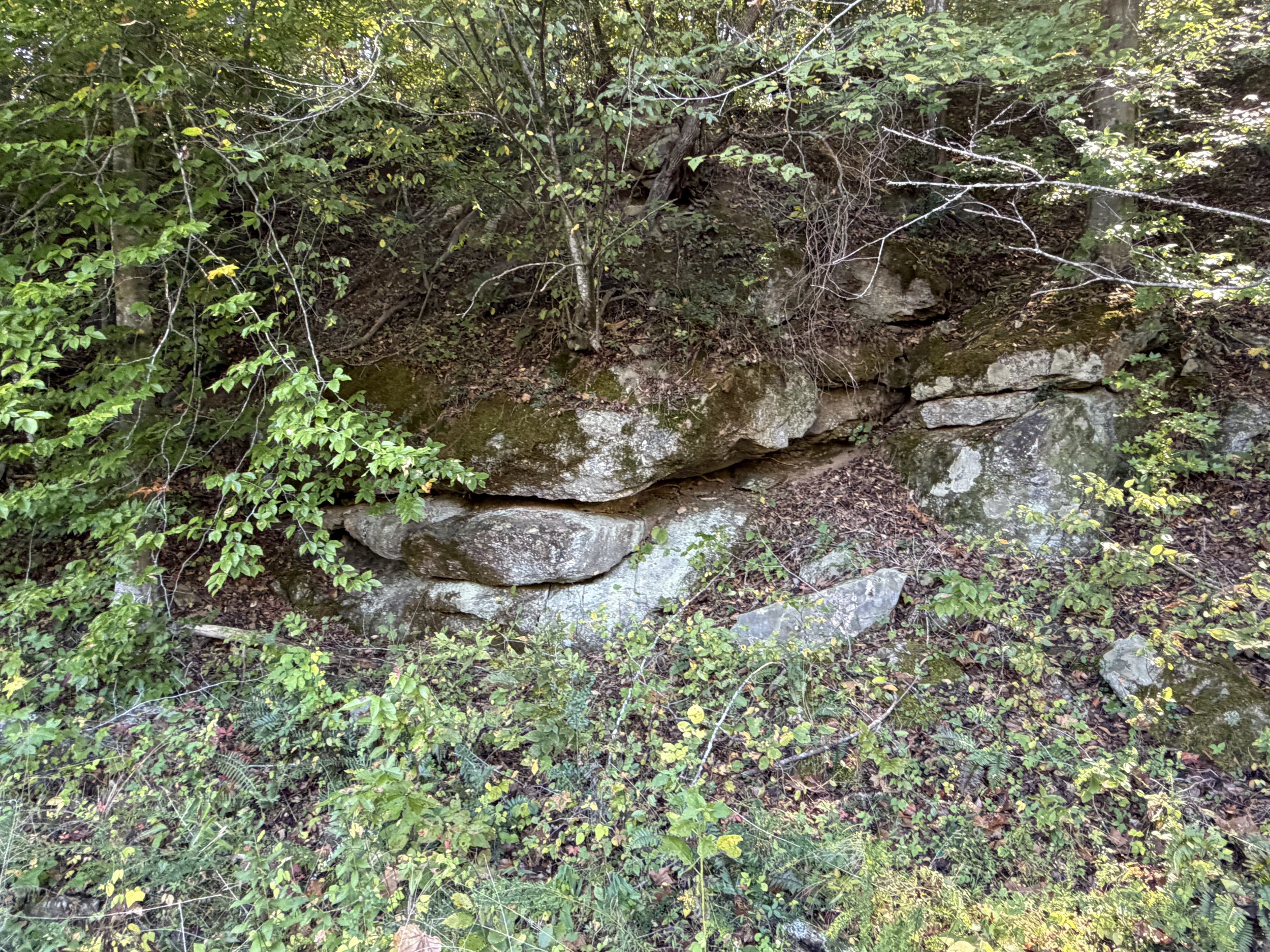 IMG_6524.JPG