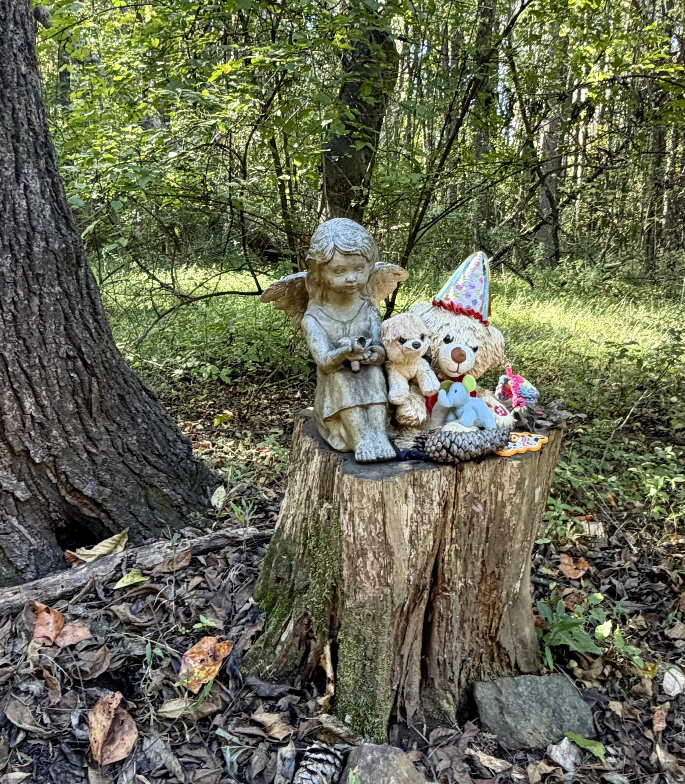 Price Park Evergreen Trail - Greensboro, NC