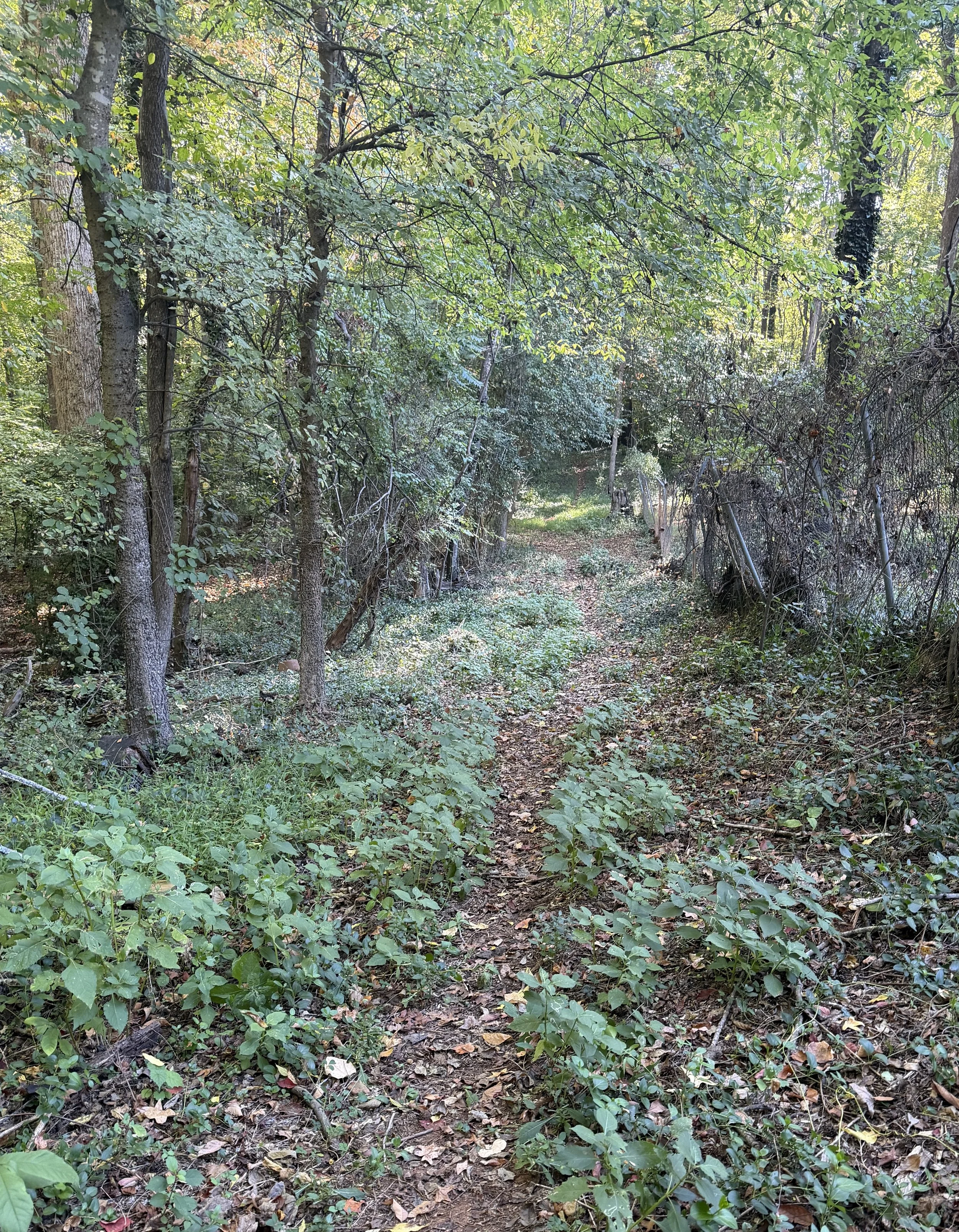 IMG_6580.JPG