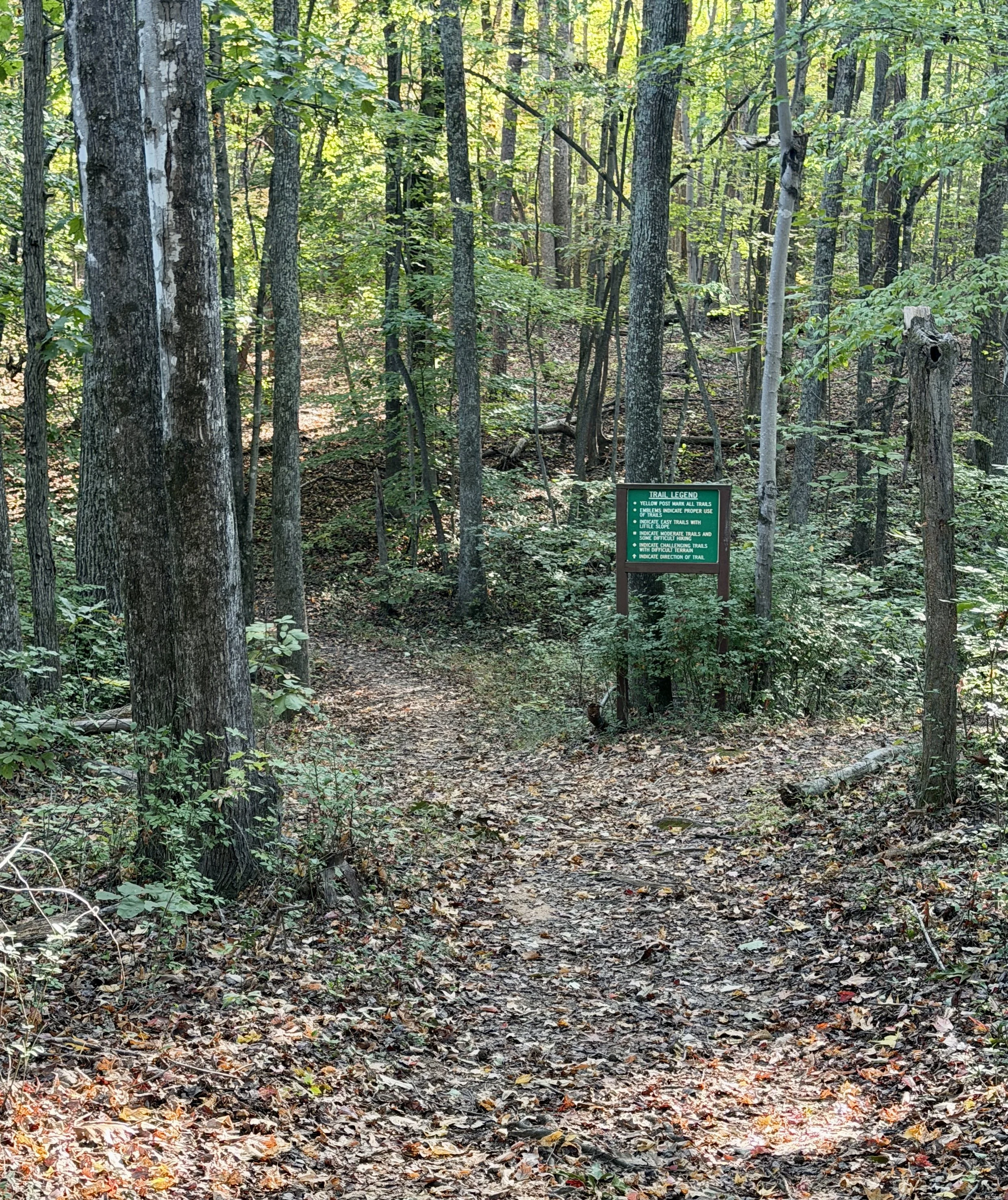 IMG_6684.JPG