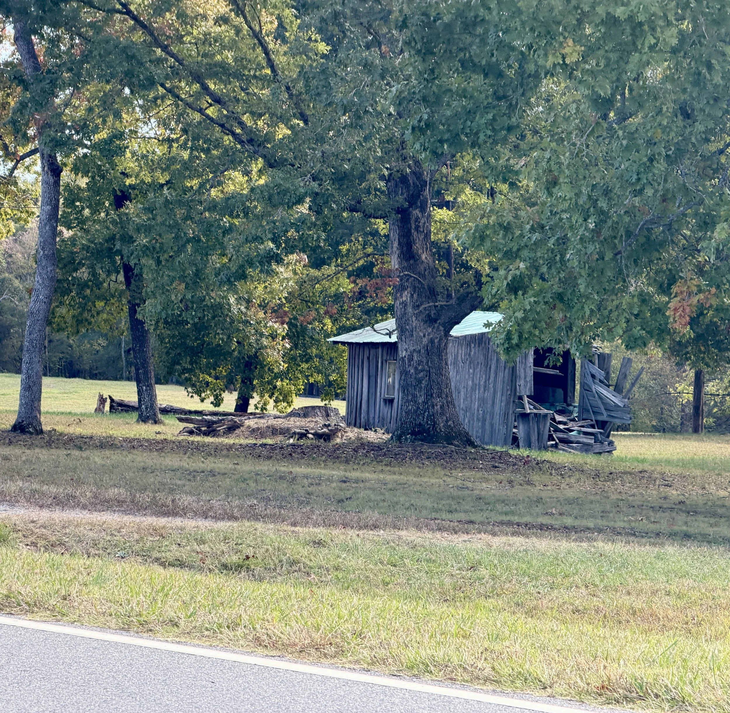 IMG_6750.JPG