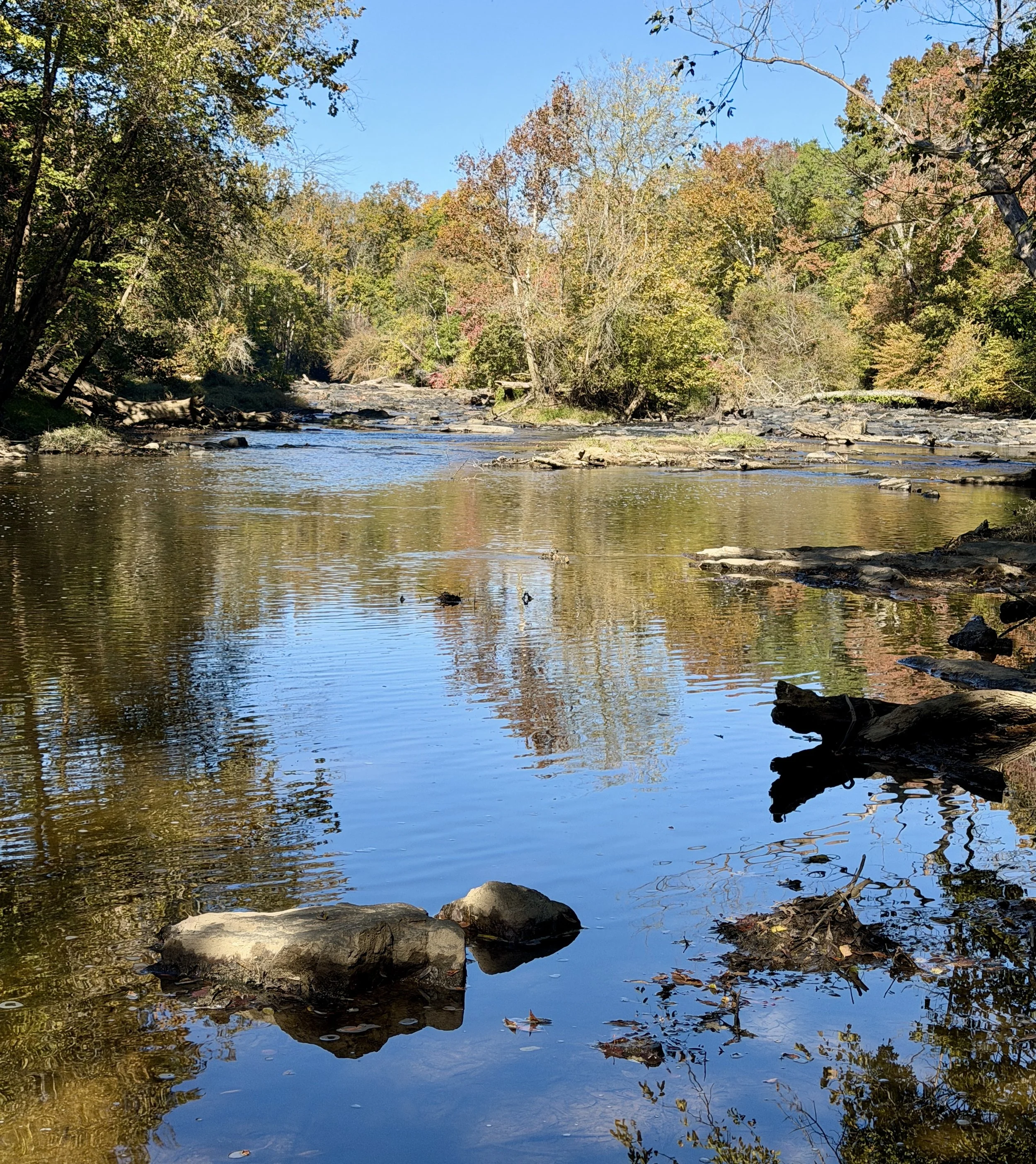 Shallow Ford Natural Area Trails - Elon, NC
