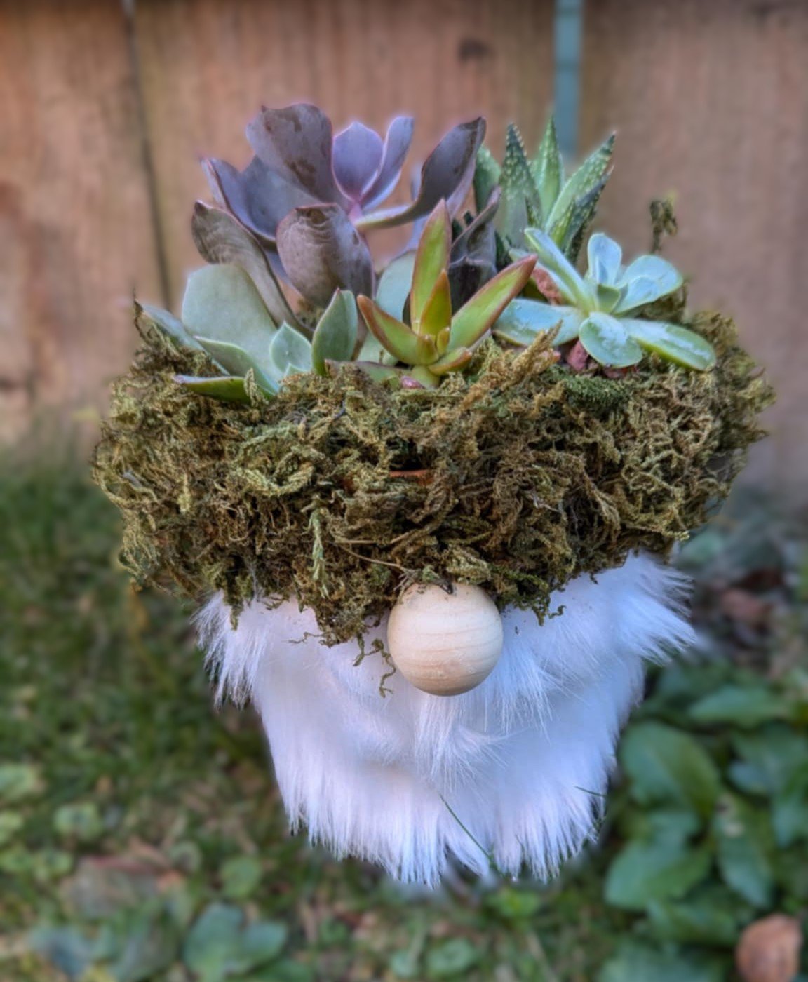 Gnome Garden DIY Kit