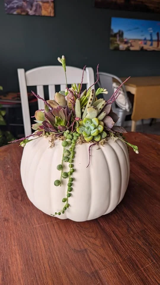 Planted Pumpkin Workshop at Aquillbella Boutique