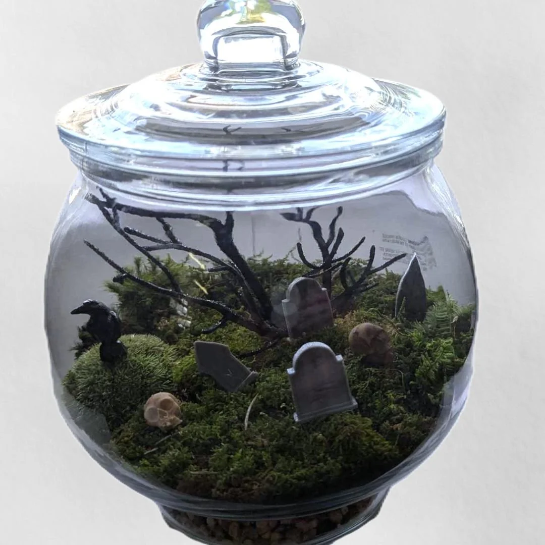 Spooky Terrarium Workshop at Aquillbella Boutique