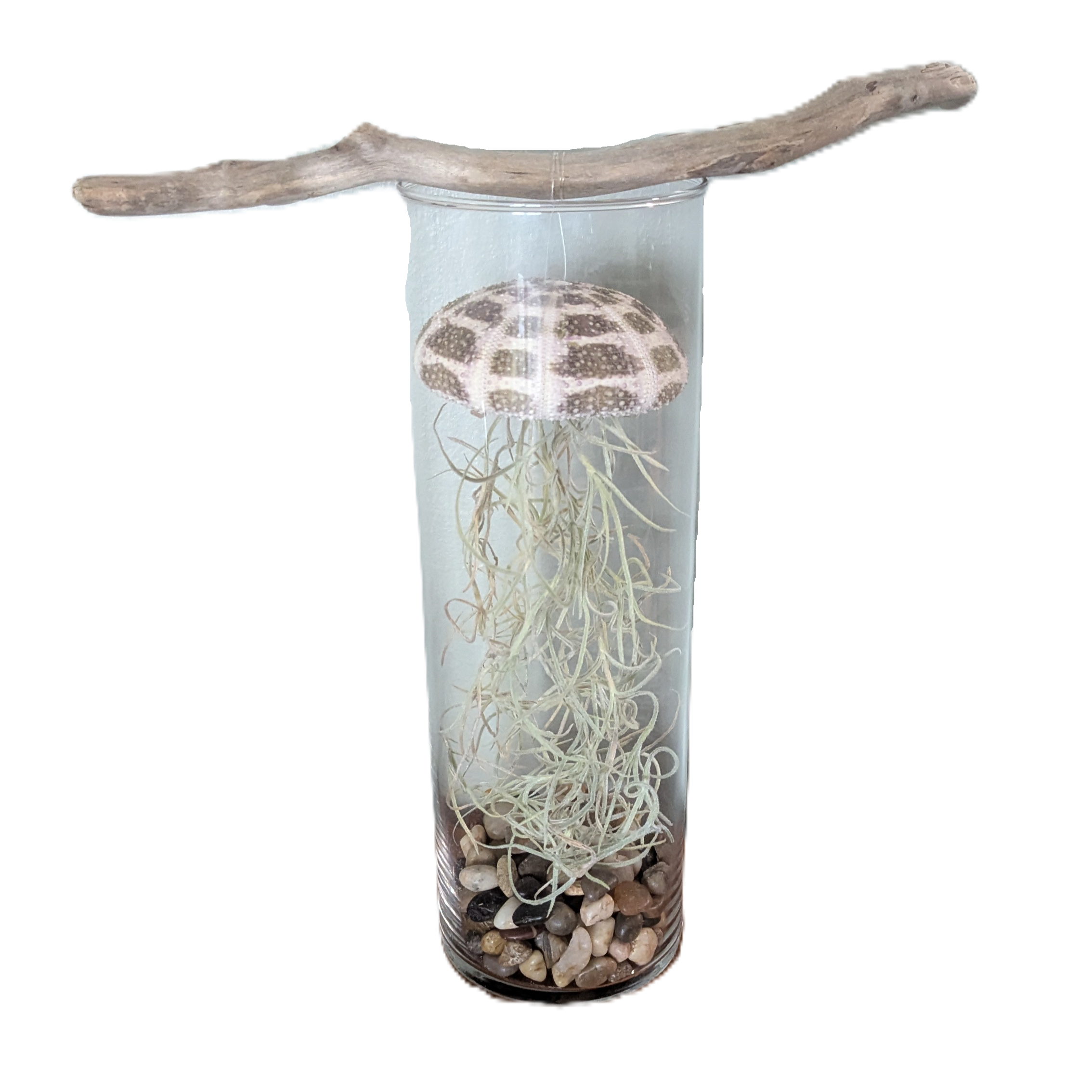 Jellyfish Garden Workshop at Twisted Elk Brewery