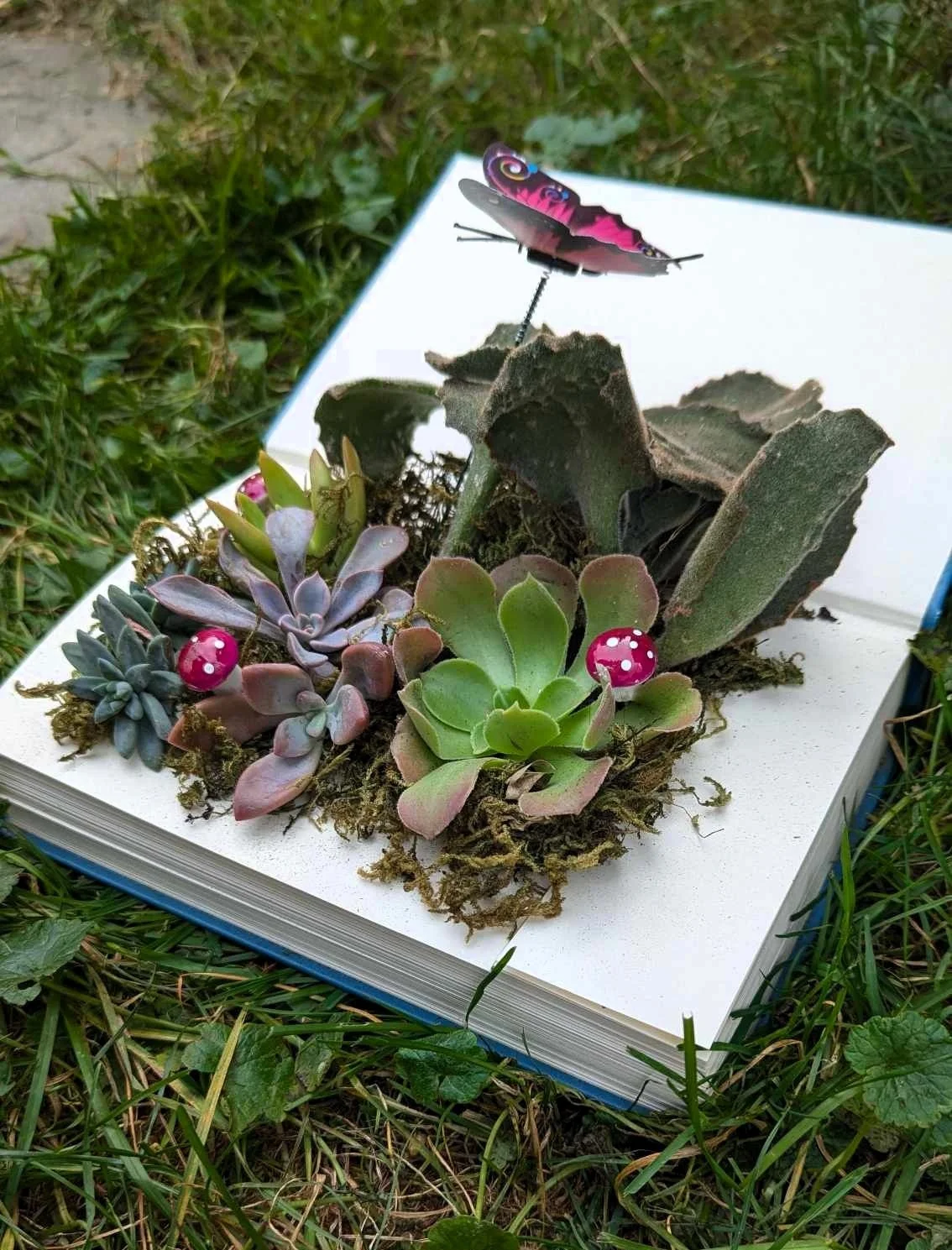 Literary Landscapes Workshop at Werner Books