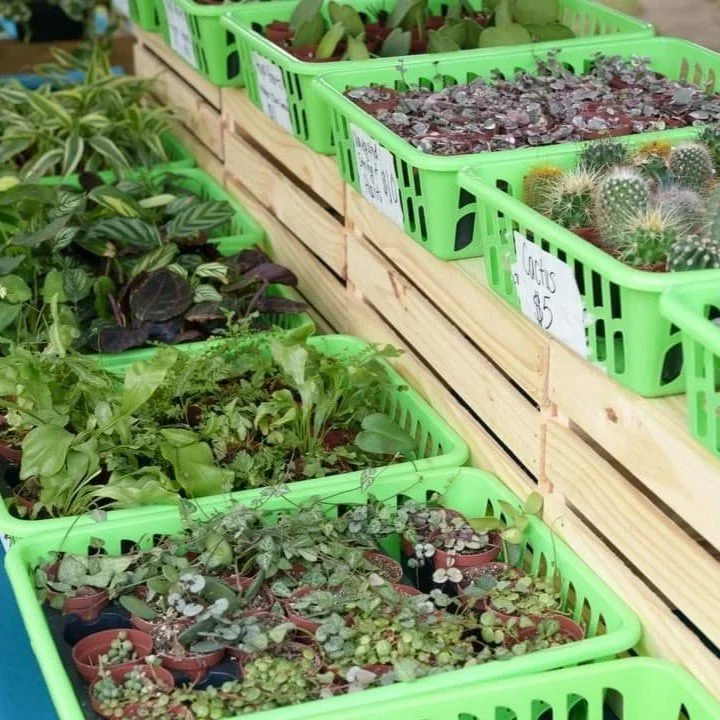 Al La Carte Workshop at Copper Carriage