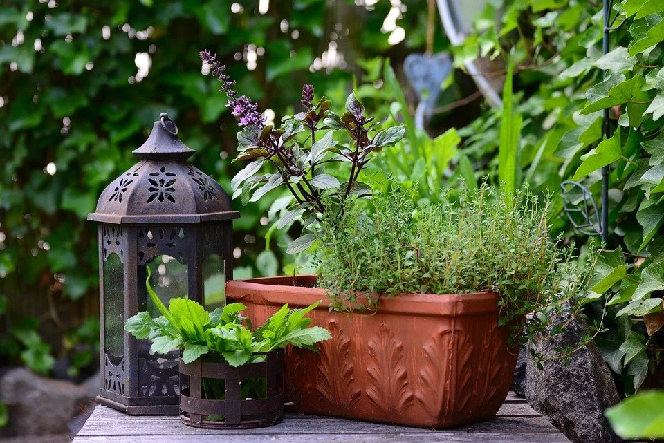 Windowsill Herb Garden Workshop at Erie Ale Works