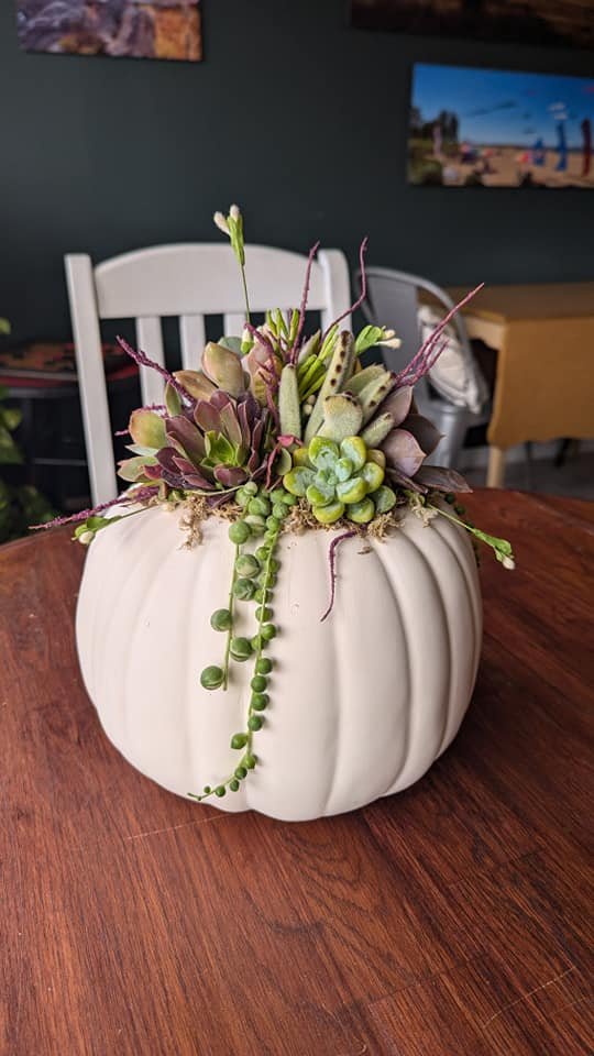 Planted Pumpkin.jpg