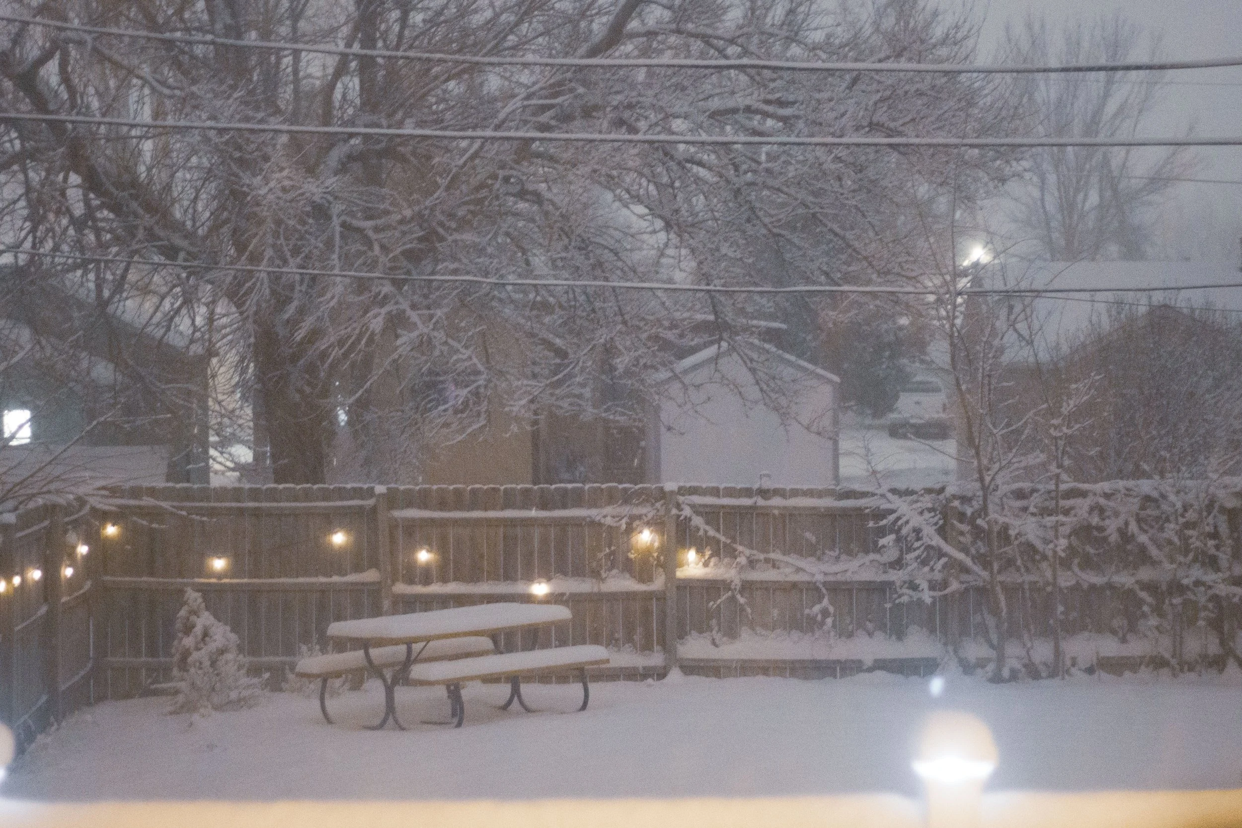 backyard snow.jpg