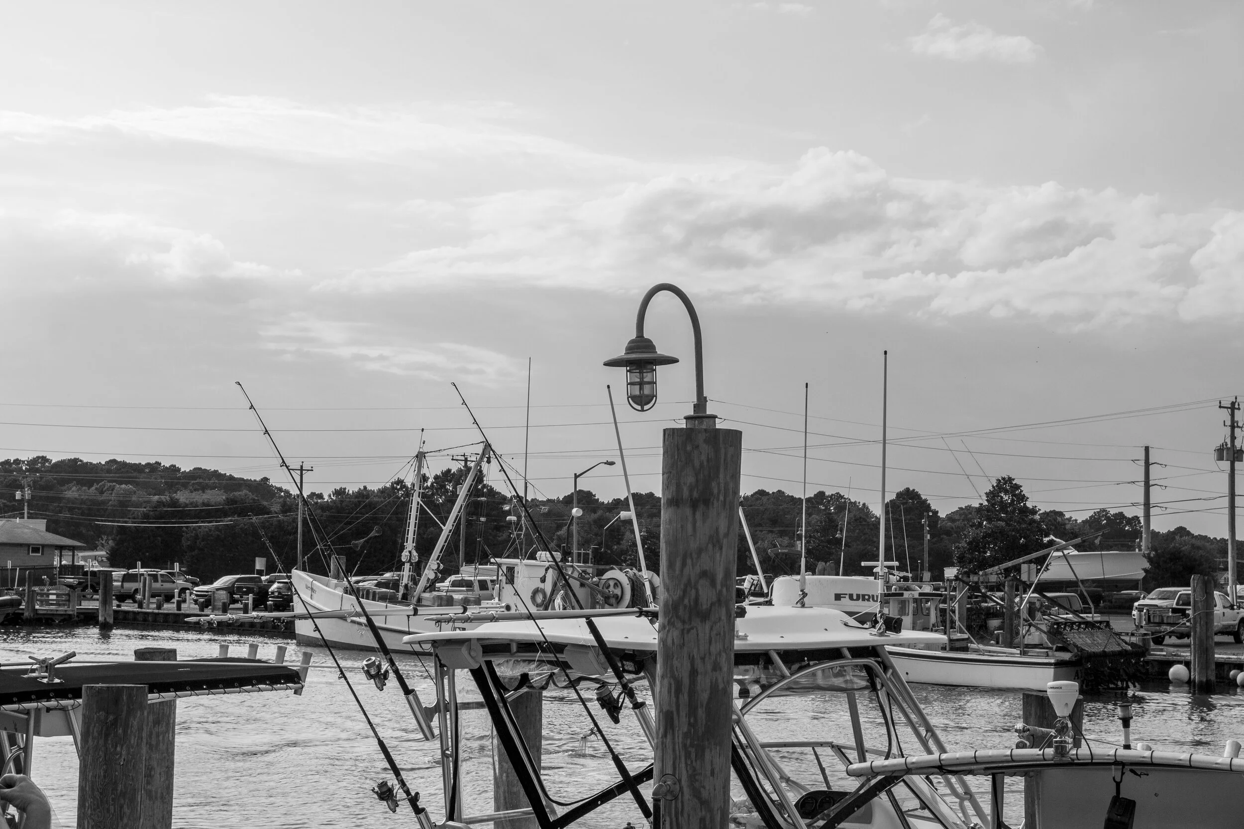 boats in ocean city.jpg