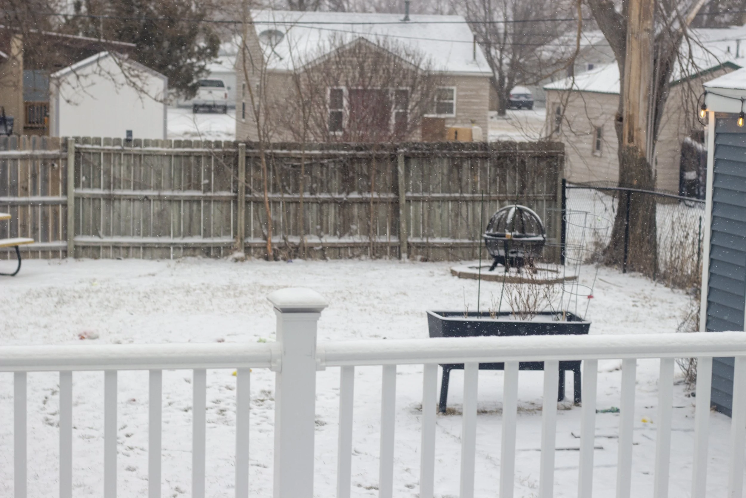 bakcyard snow.jpg