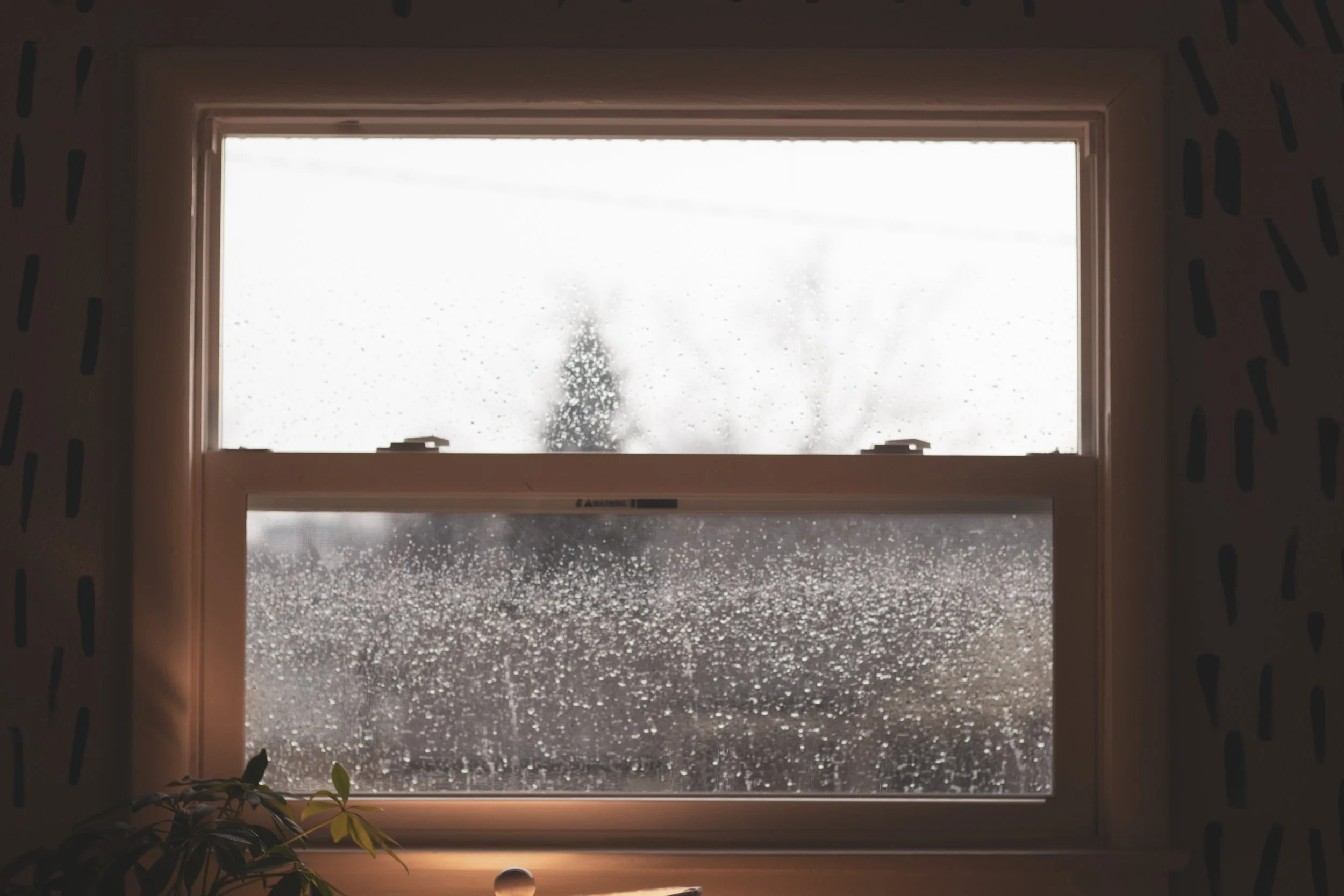 office window rain.jpg