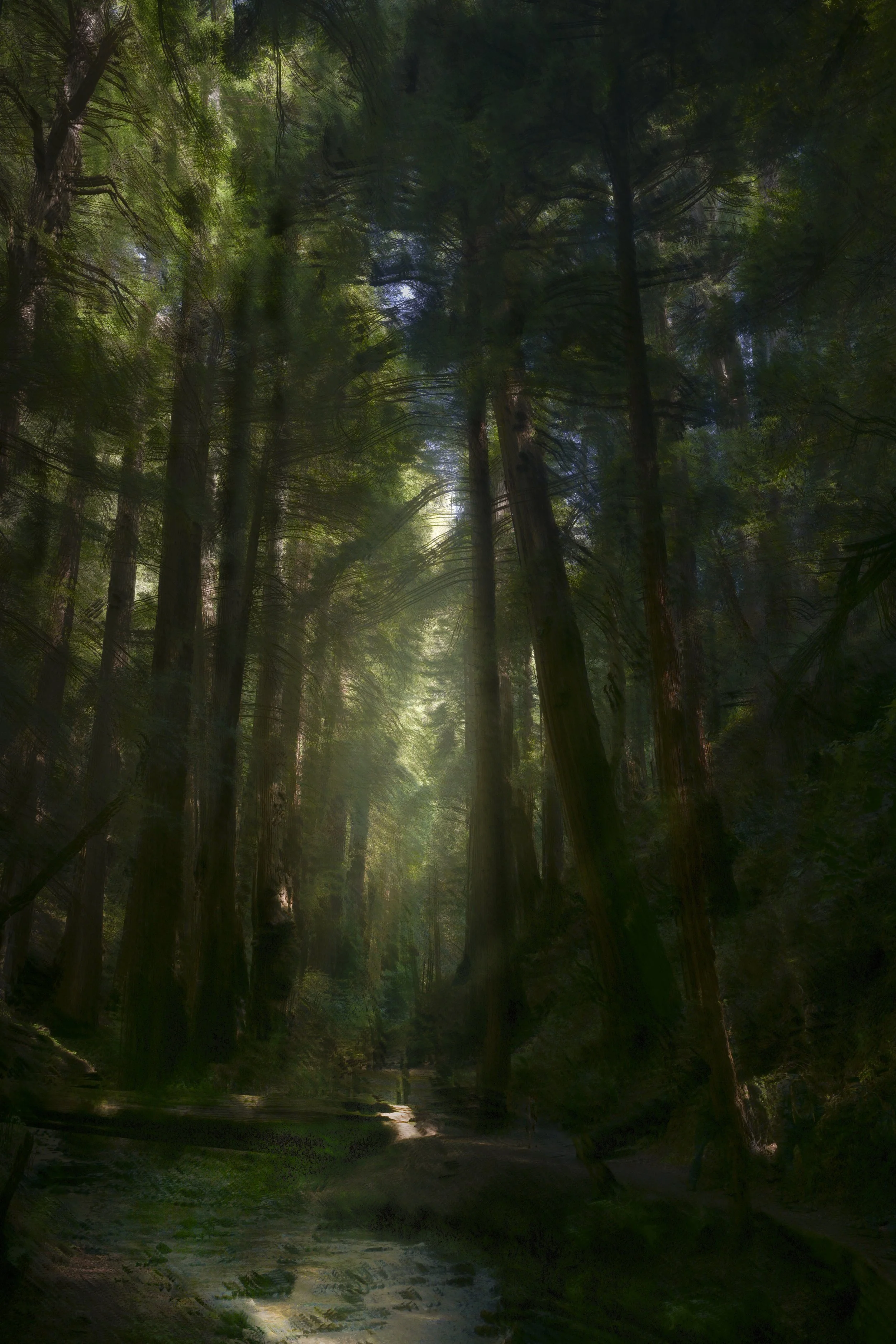 22. Avenue of Light.jpg