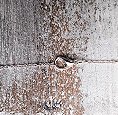 clasp pic.jpg