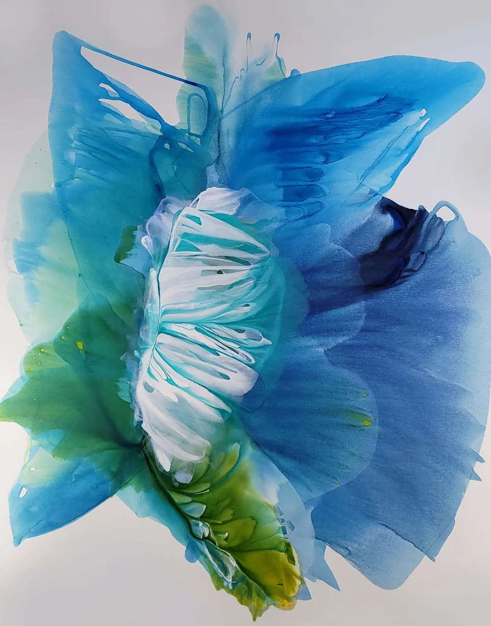 About 3 — Kitchen Table Quarterly